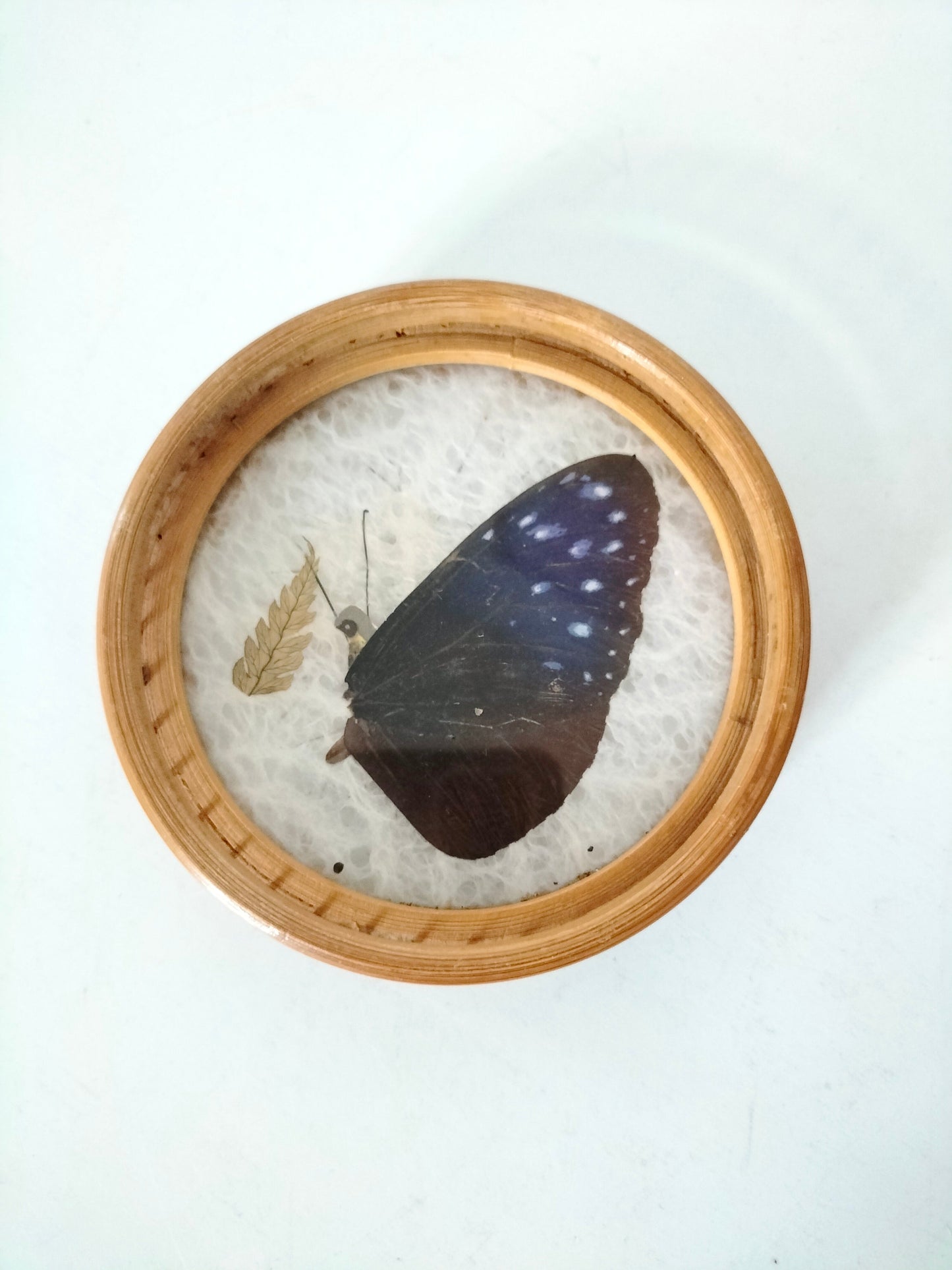Set de 4 sous-verres bois et rotin papillon