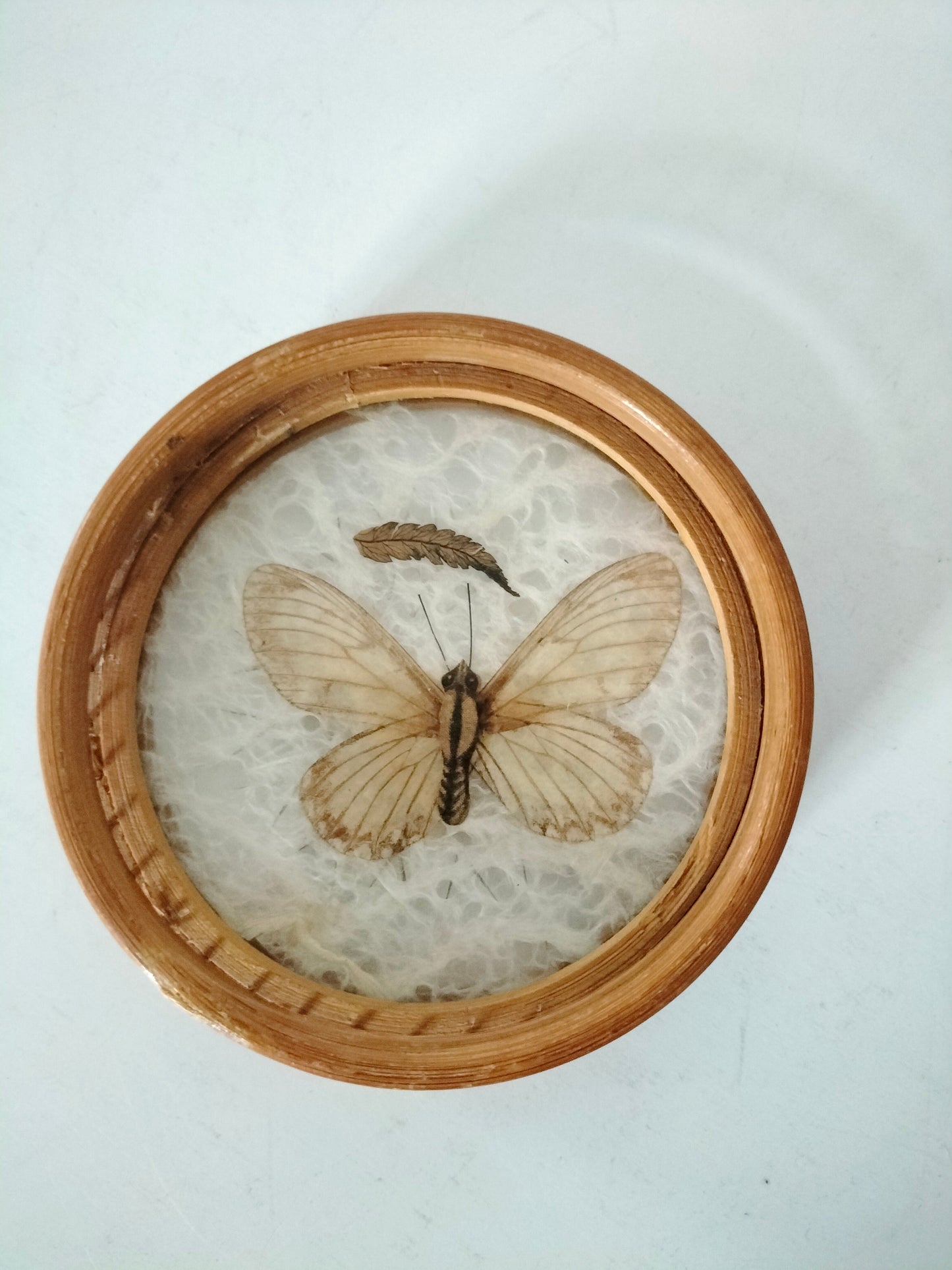 Set de 4 sous-verres bois et rotin papillon