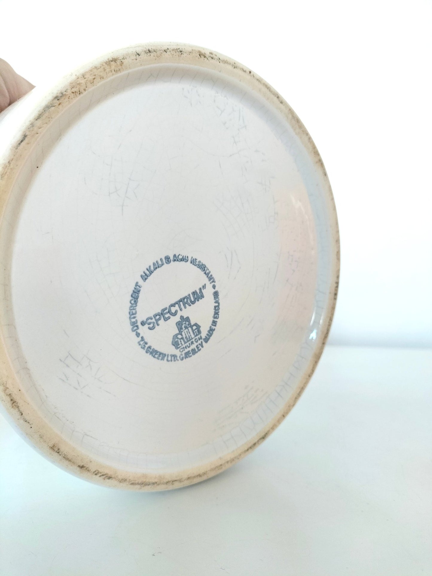 Gros pot à biscuits TG Green Spectrum