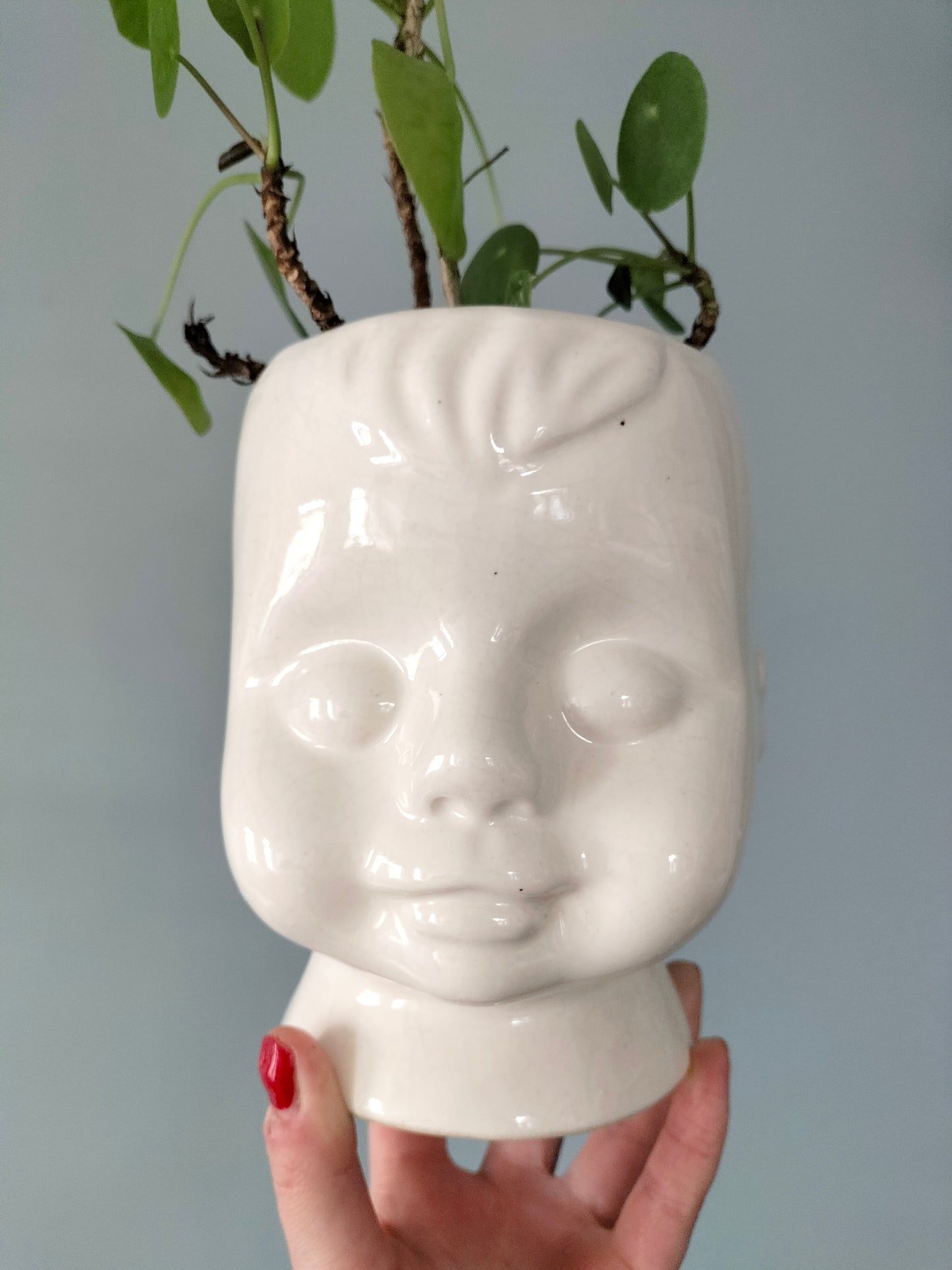 Cache-pot tête