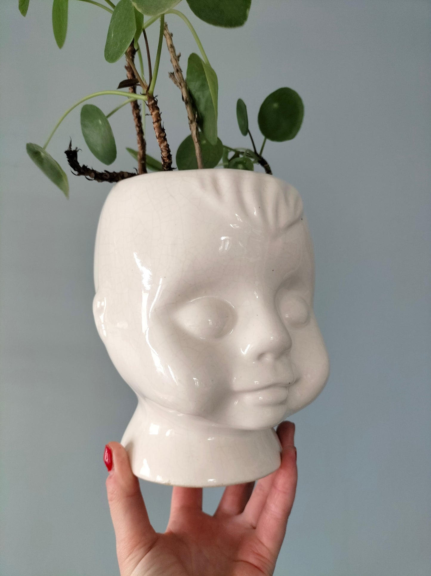 Cache-pot tête