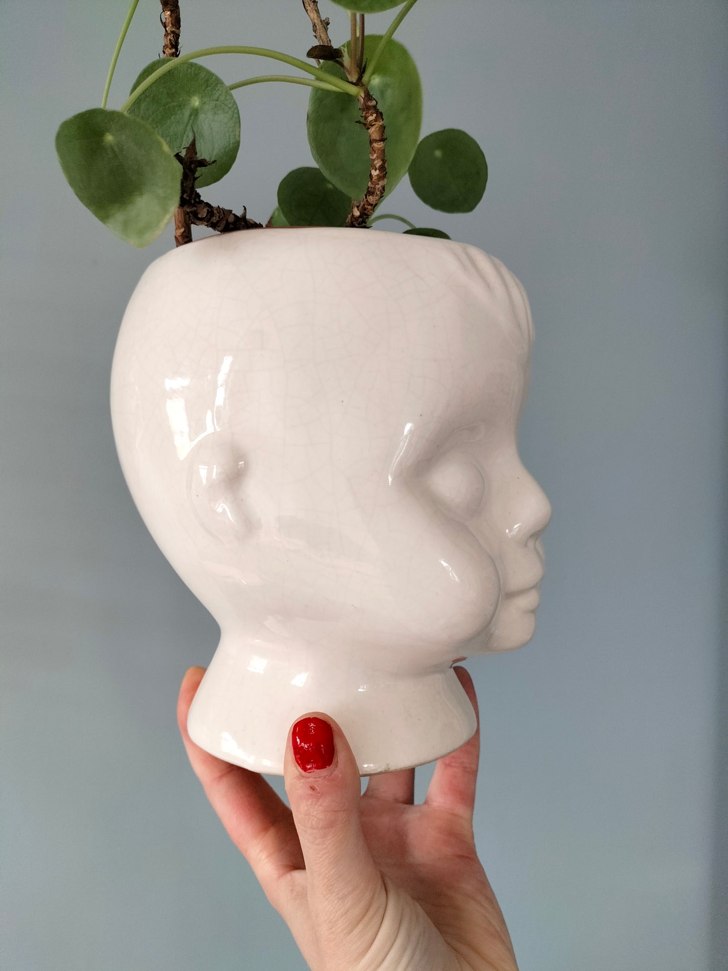 Cache-pot tête