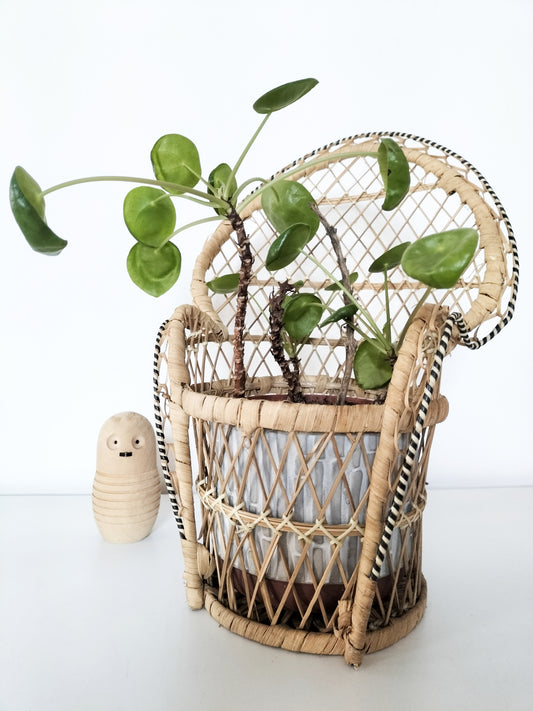 Cache-pot Emmanuelle