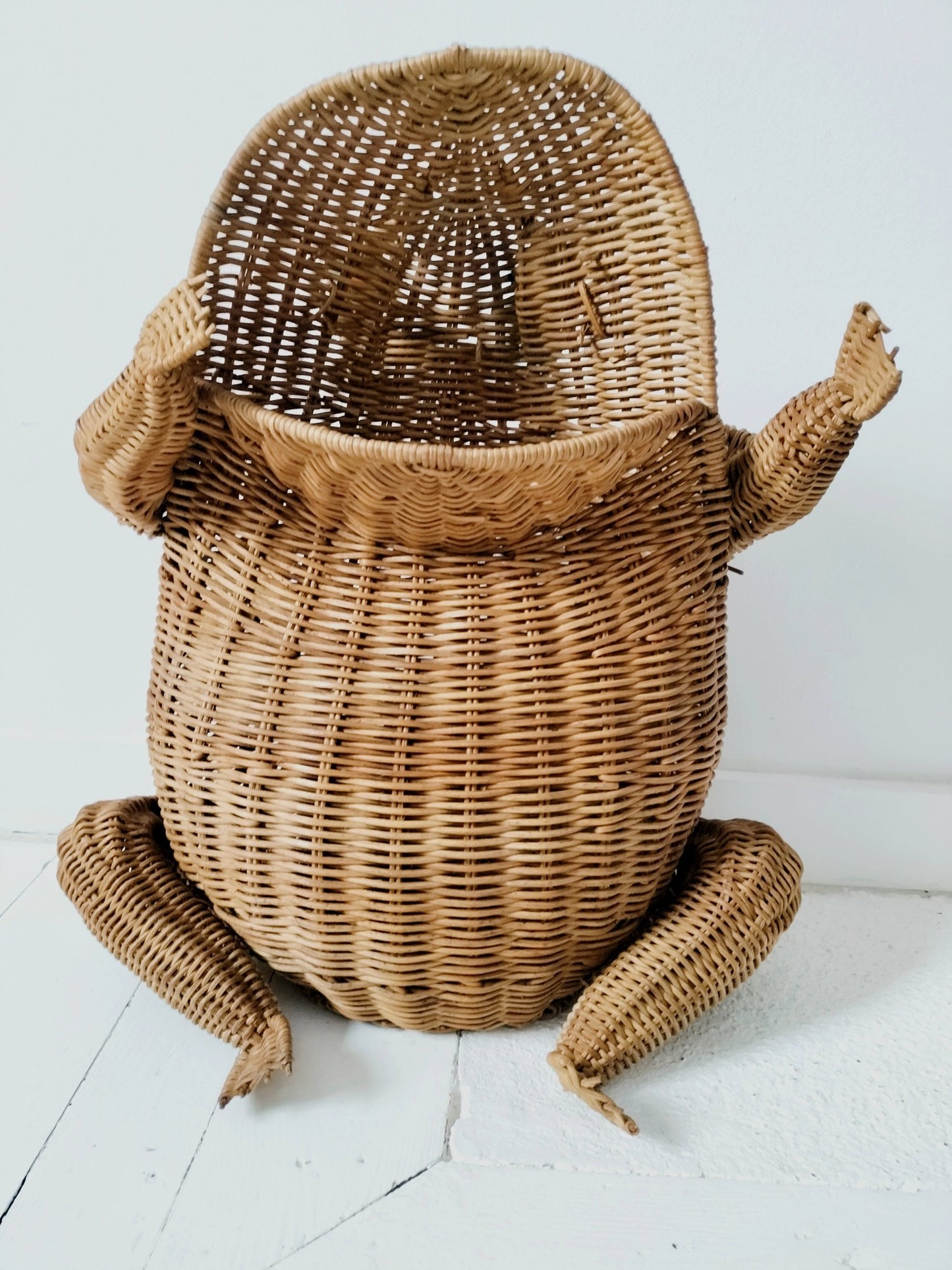 Porte-revues/ panier grenouille en osier par Olivier Cajan