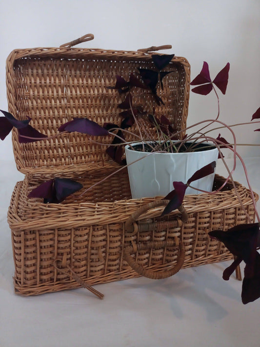 Valise en osier - cetaitmieuxavant