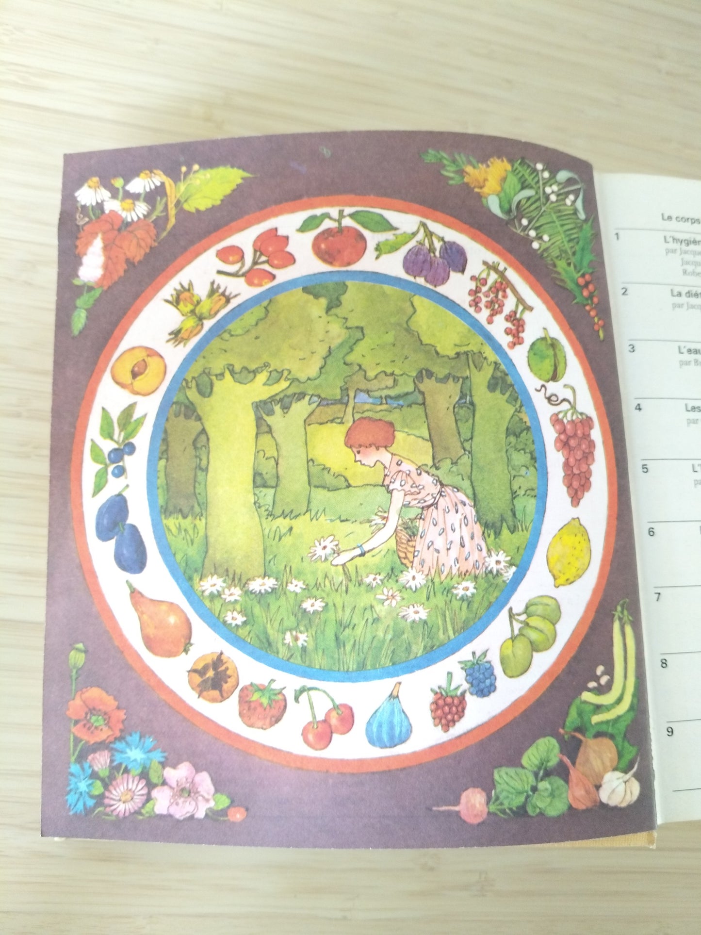 Encyclopédie des médecines naturelles et des secrets de santé Culture, Art, Loisirs 1976 - cetaitmieuxavant