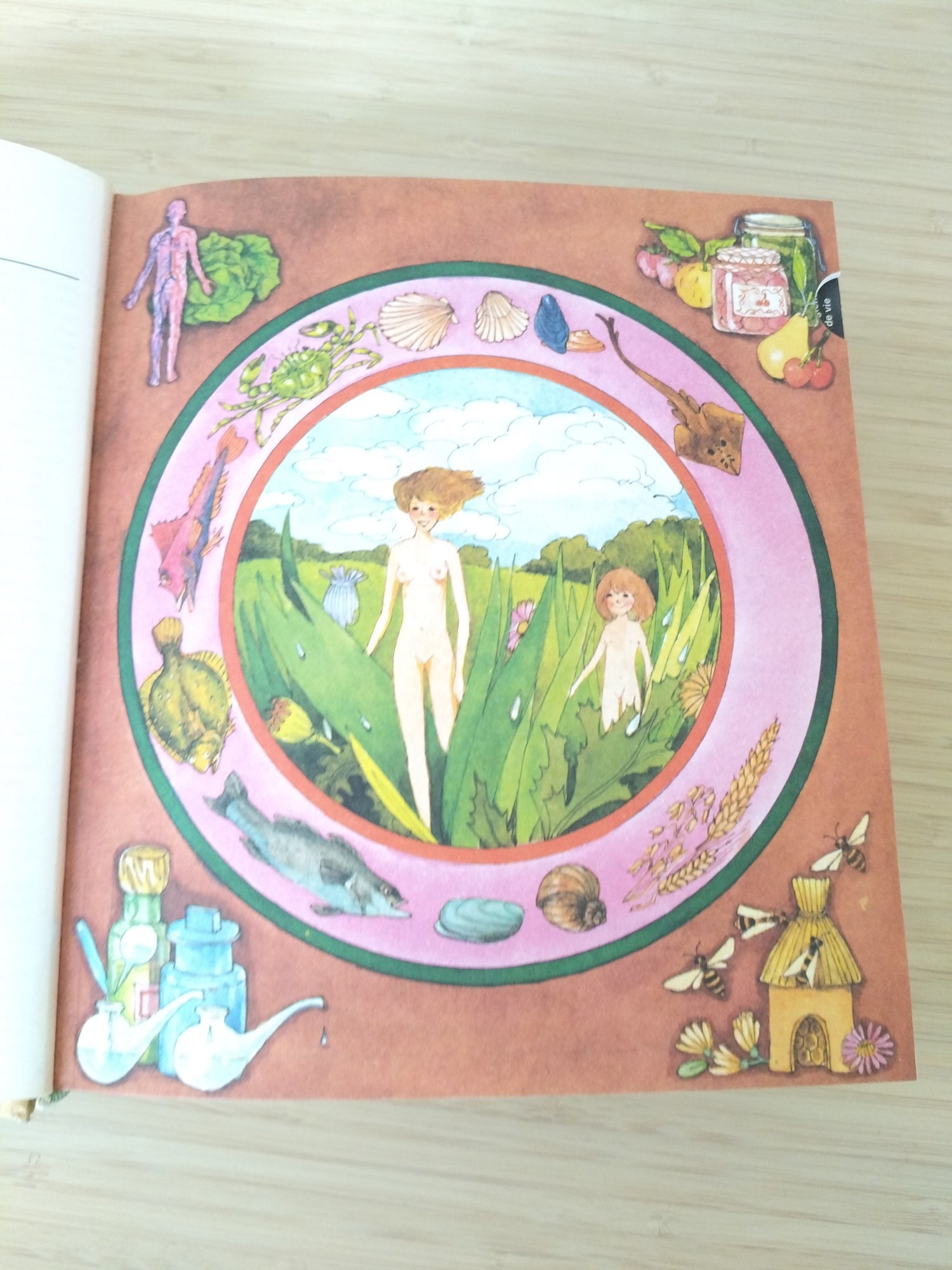 Encyclopédie des médecines naturelles et des secrets de santé Culture, Art, Loisirs 1976 - cetaitmieuxavant