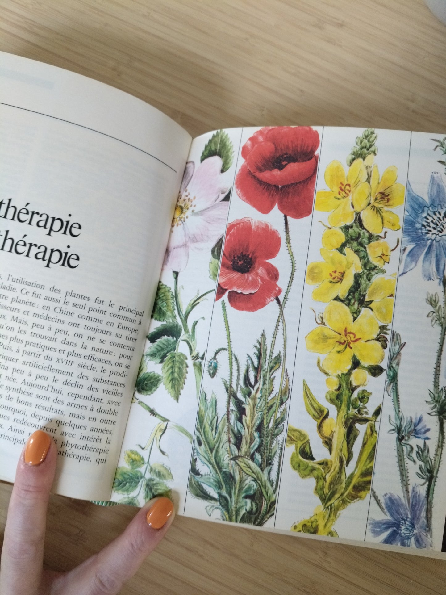 Encyclopédie des médecines naturelles et des secrets de santé Culture, Art, Loisirs 1976 - cetaitmieuxavant