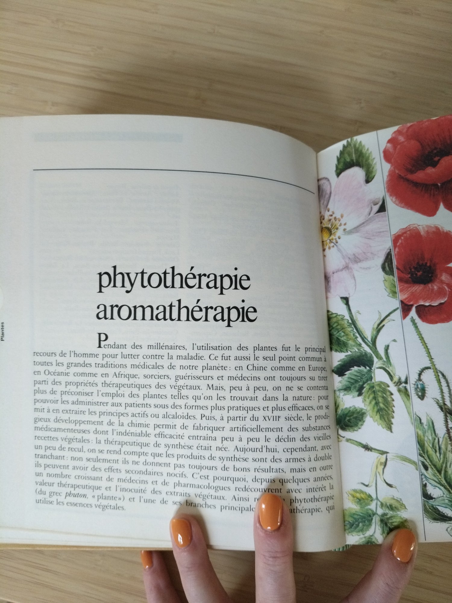 Encyclopédie des médecines naturelles et des secrets de santé Culture, Art, Loisirs 1976 - cetaitmieuxavant