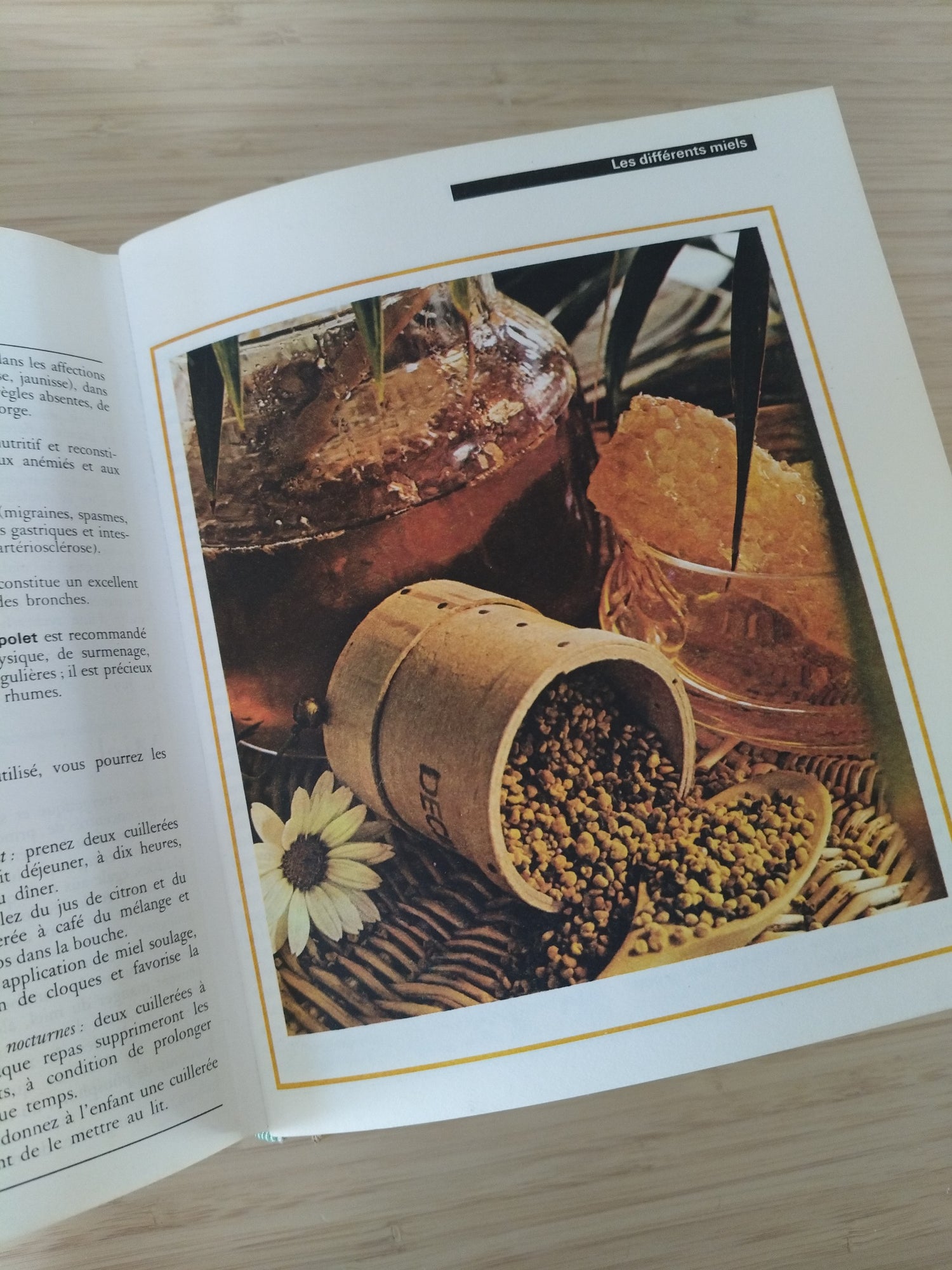 Encyclopédie des médecines naturelles et des secrets de santé Culture, Art, Loisirs 1976 - cetaitmieuxavant
