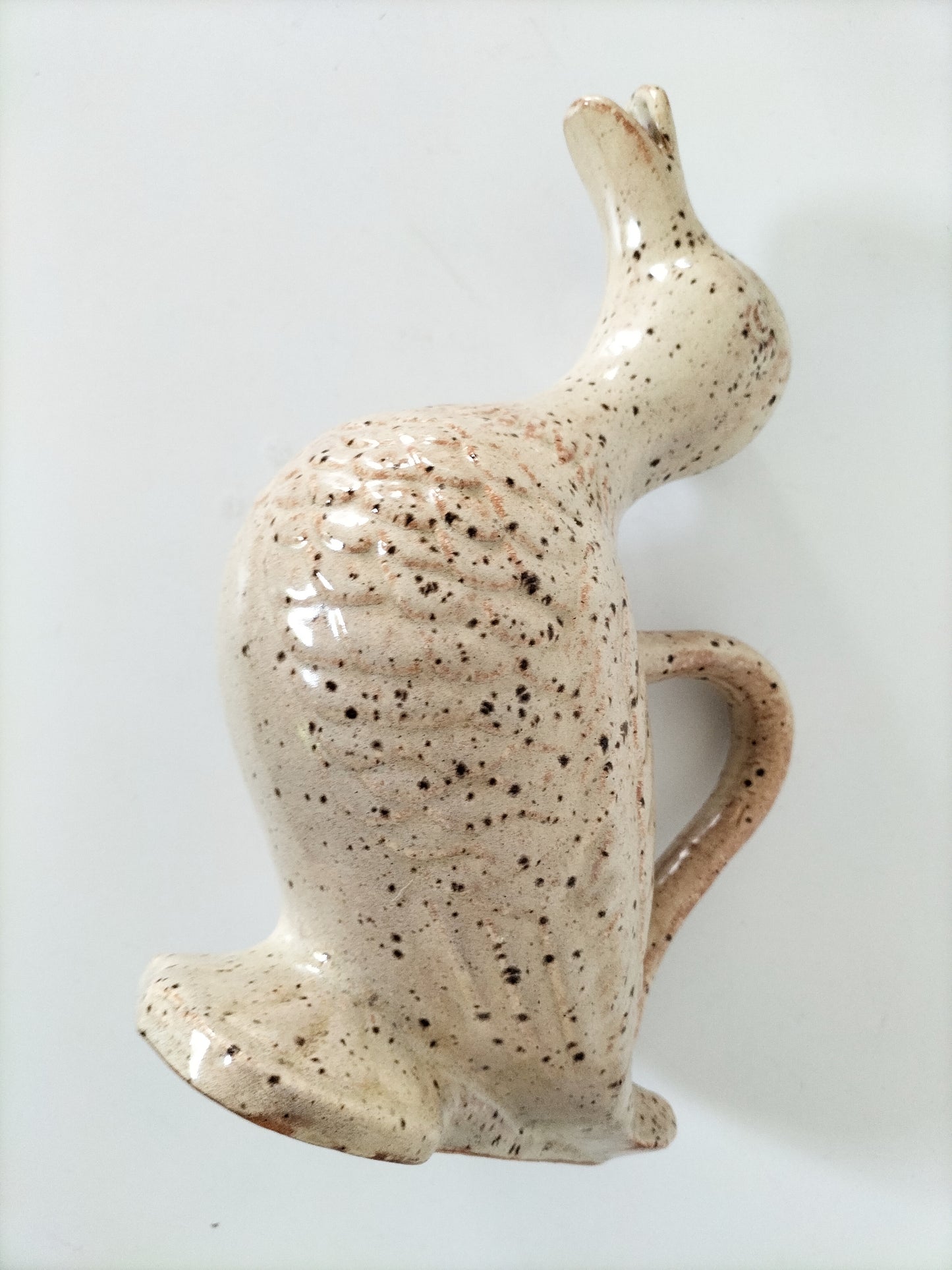 Carafe/ pichet canard