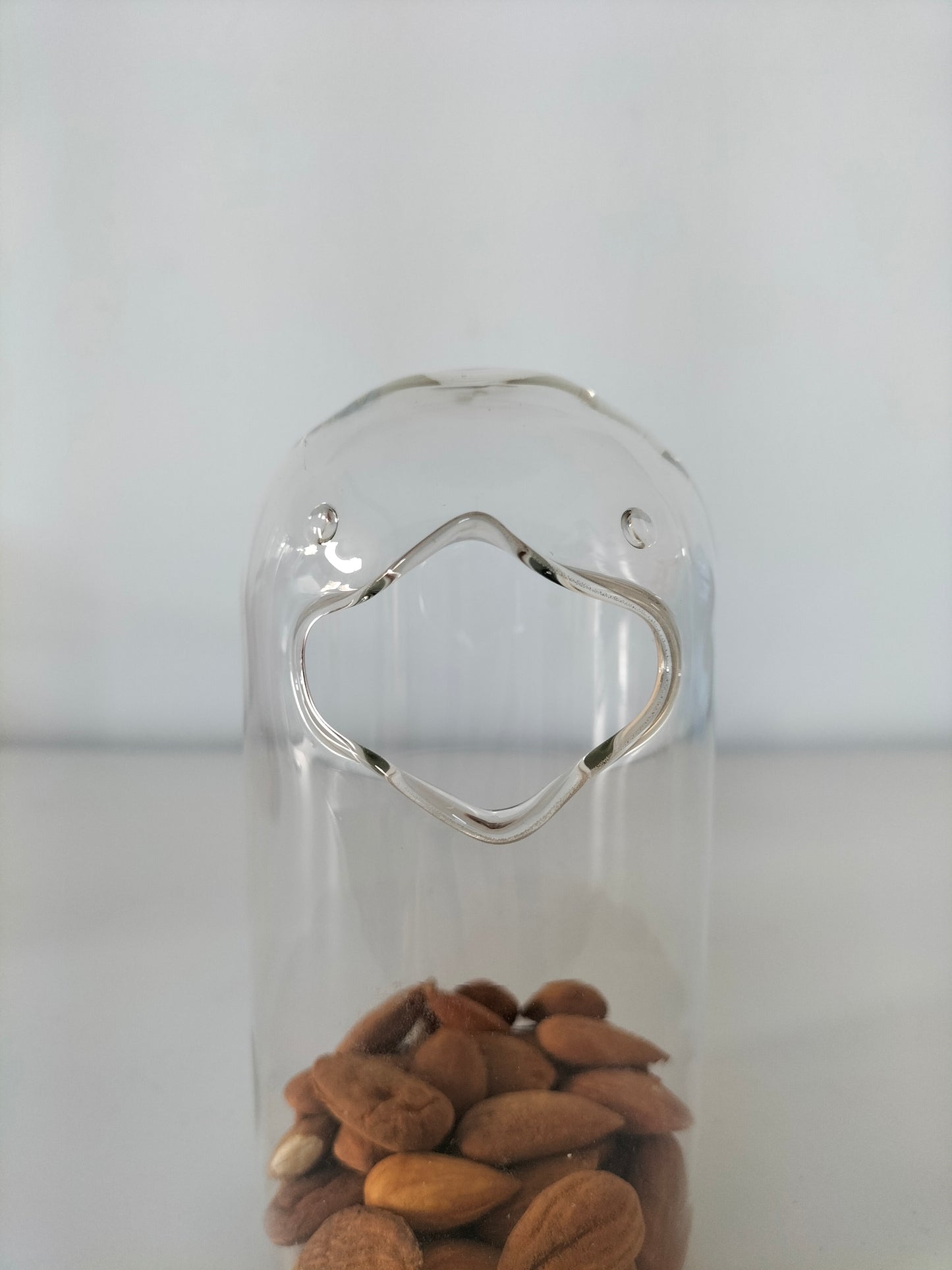 "The Feeder" (for people) distributeur oiseau en verre