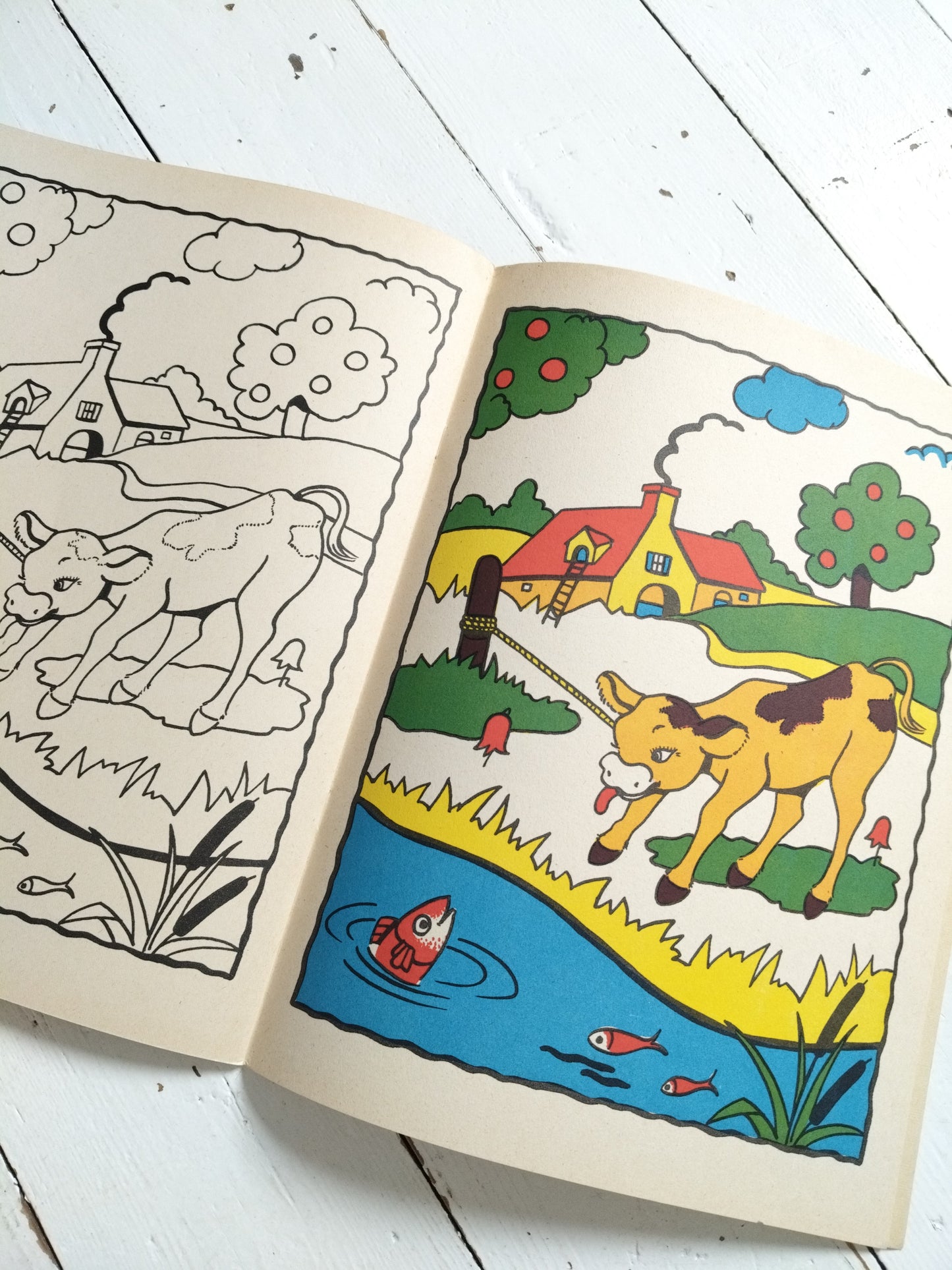 Ancien livre de dessin et coloriage vierge éditions du Pélican Blanc - cetaitmieuxavant