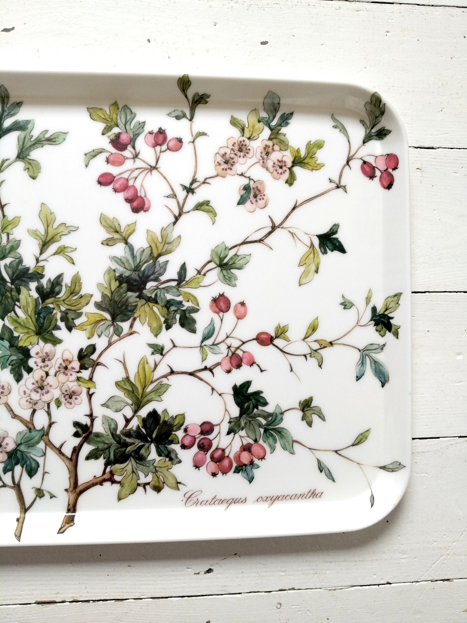 Plateau en plastique Villeroy et Boch Botanica Crateagus oxyacantha - cetaitmieuxavant