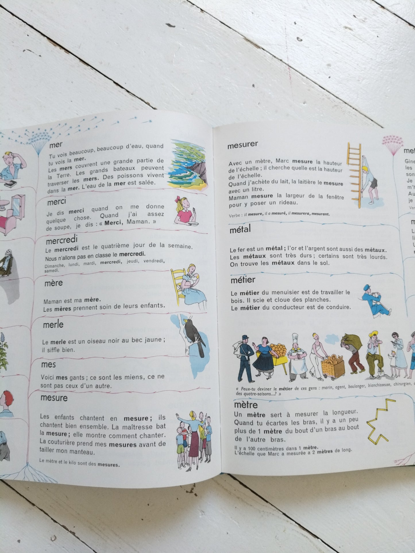 Dictionnaire "Mon premier Larousse en couleurs" 1988