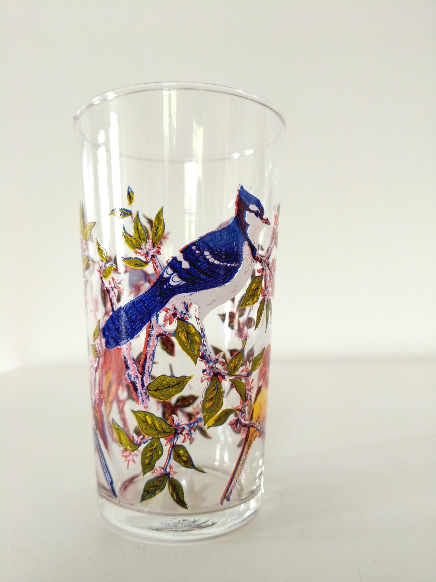 6 grands verres décor oiseaux - cetaitmieuxavant