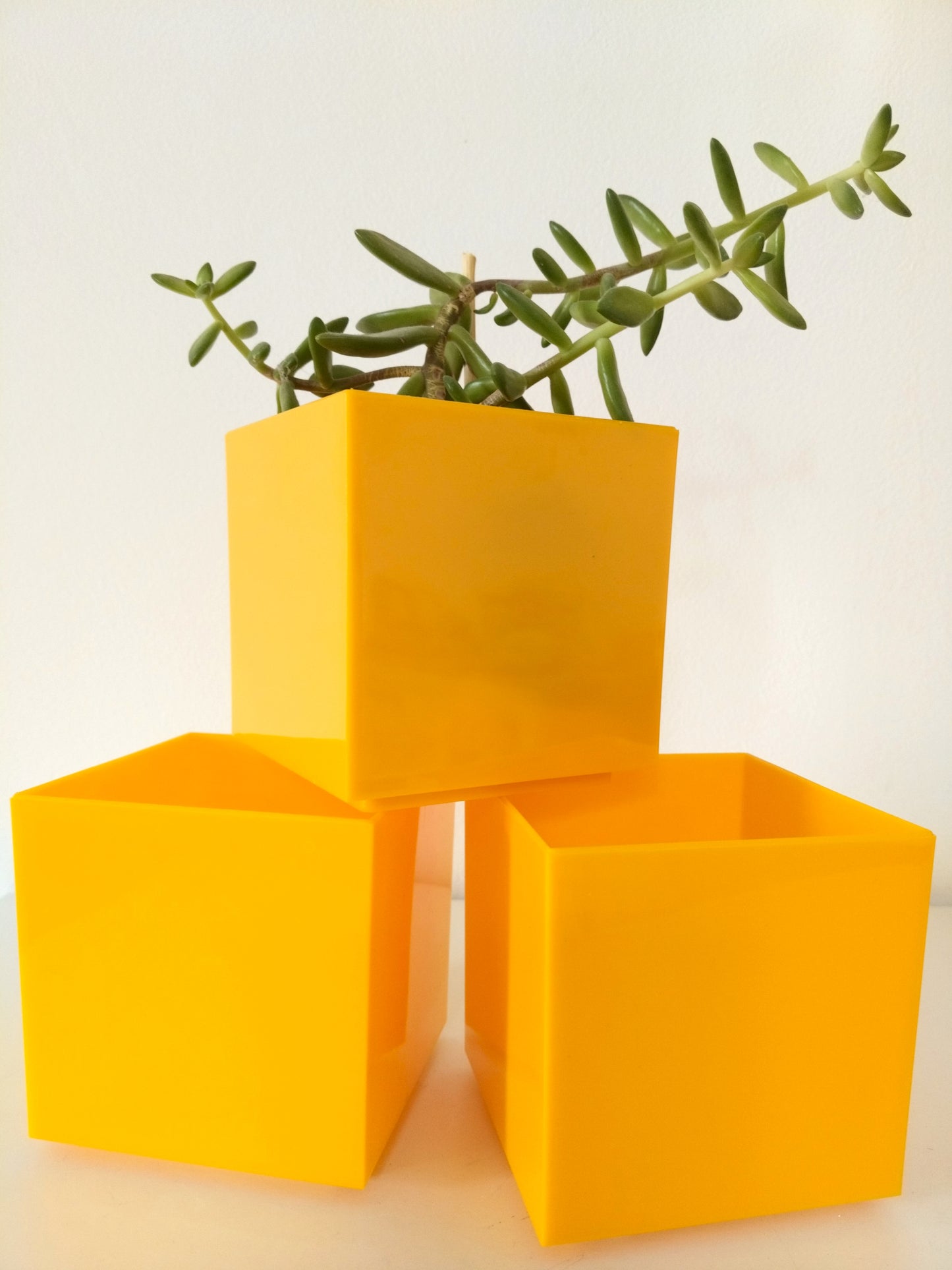 Petit cache-pot en plastique Holland à l'unité