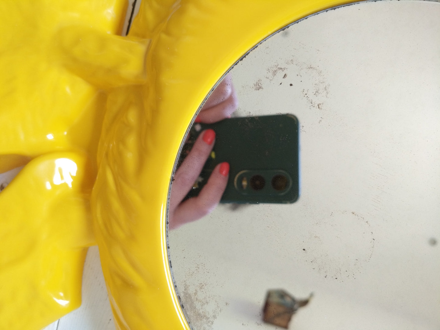Miroir canard en plastique