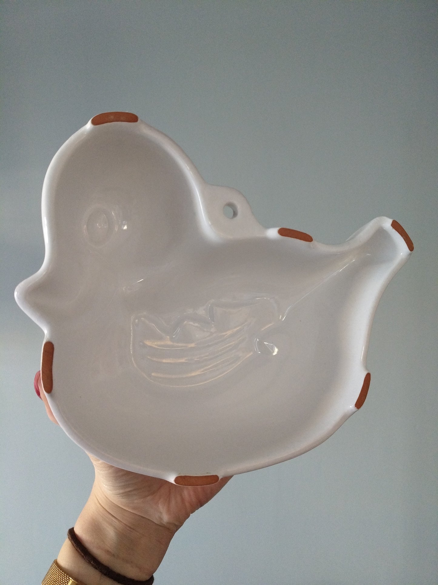 Ancien moule canard à pudding mural en porcelaine - cetaitmieuxavant