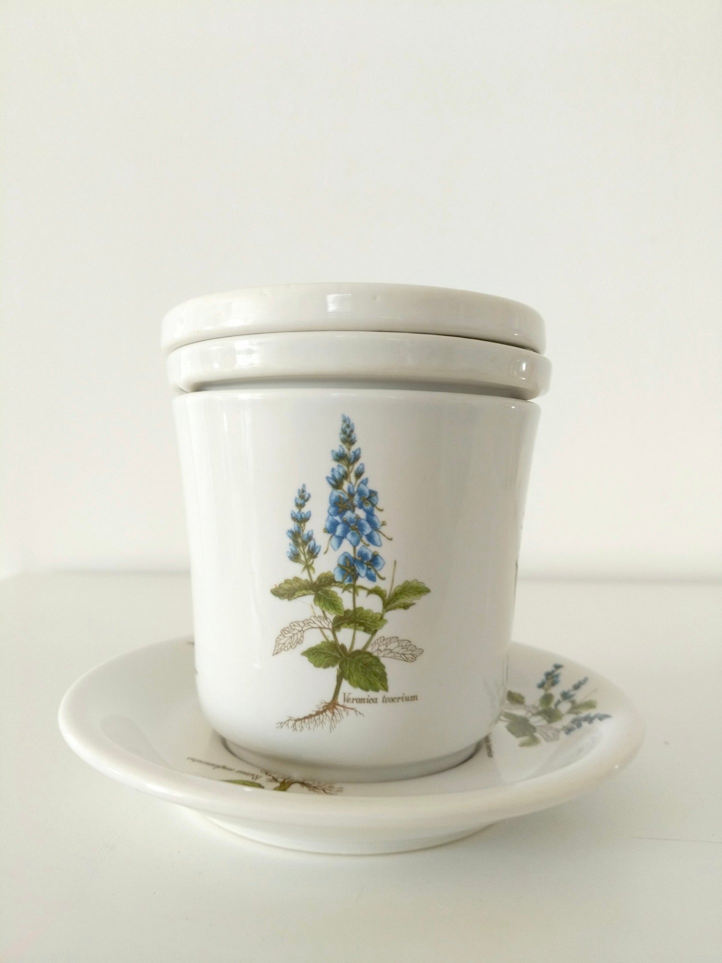 Tisanière porcelaine de France Revol