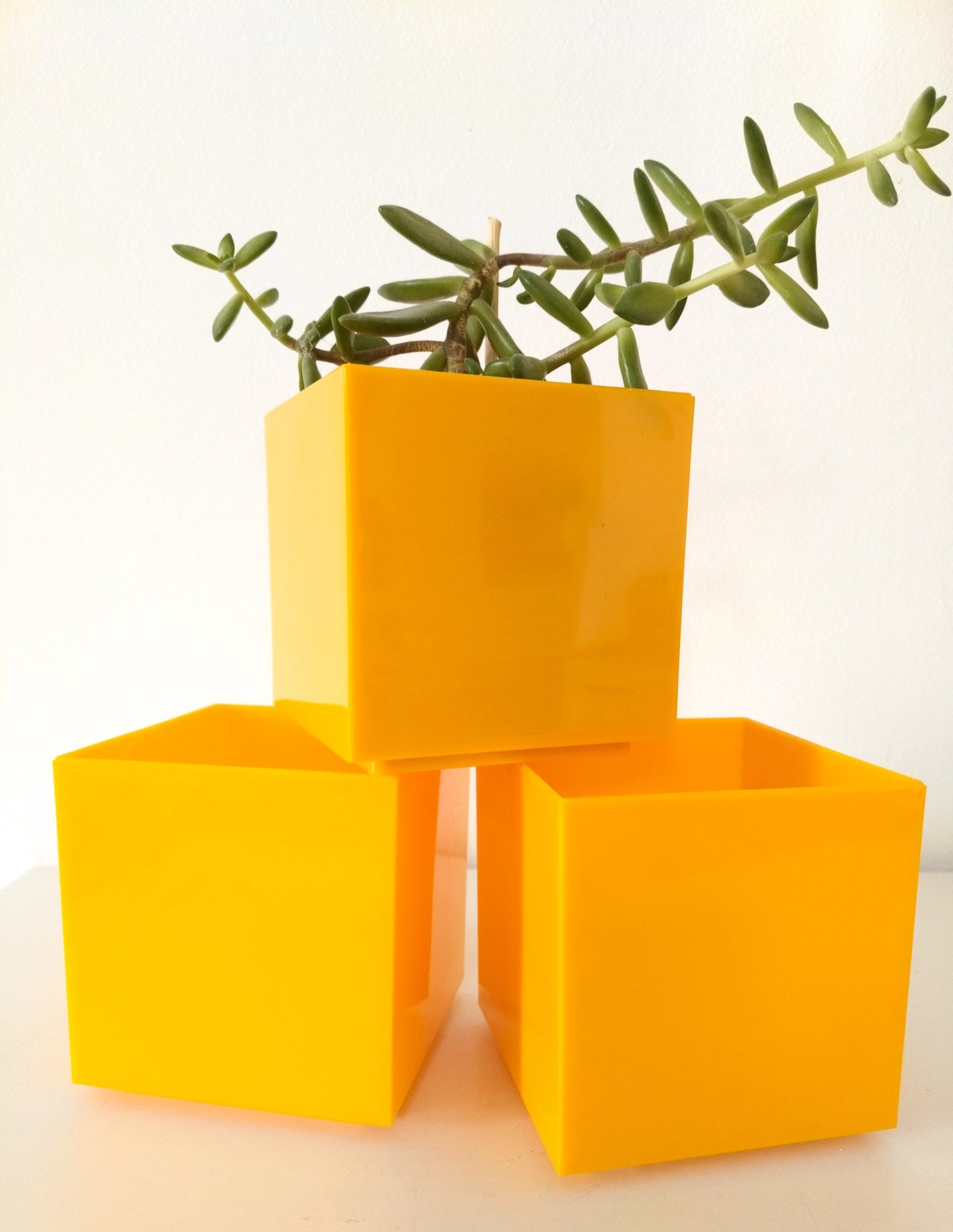 Petit cache-pot en plastique Holland à l'unité