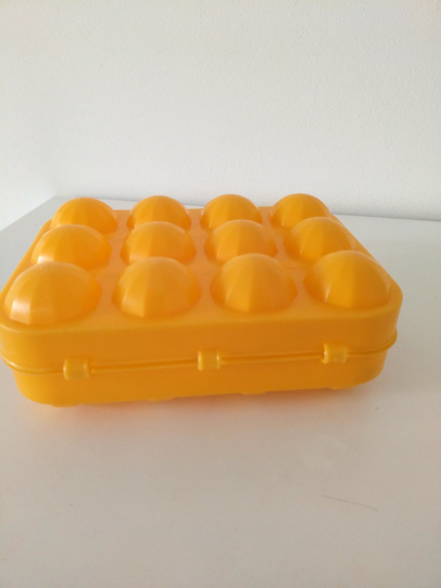 Boîte à 12 œufs en plastique