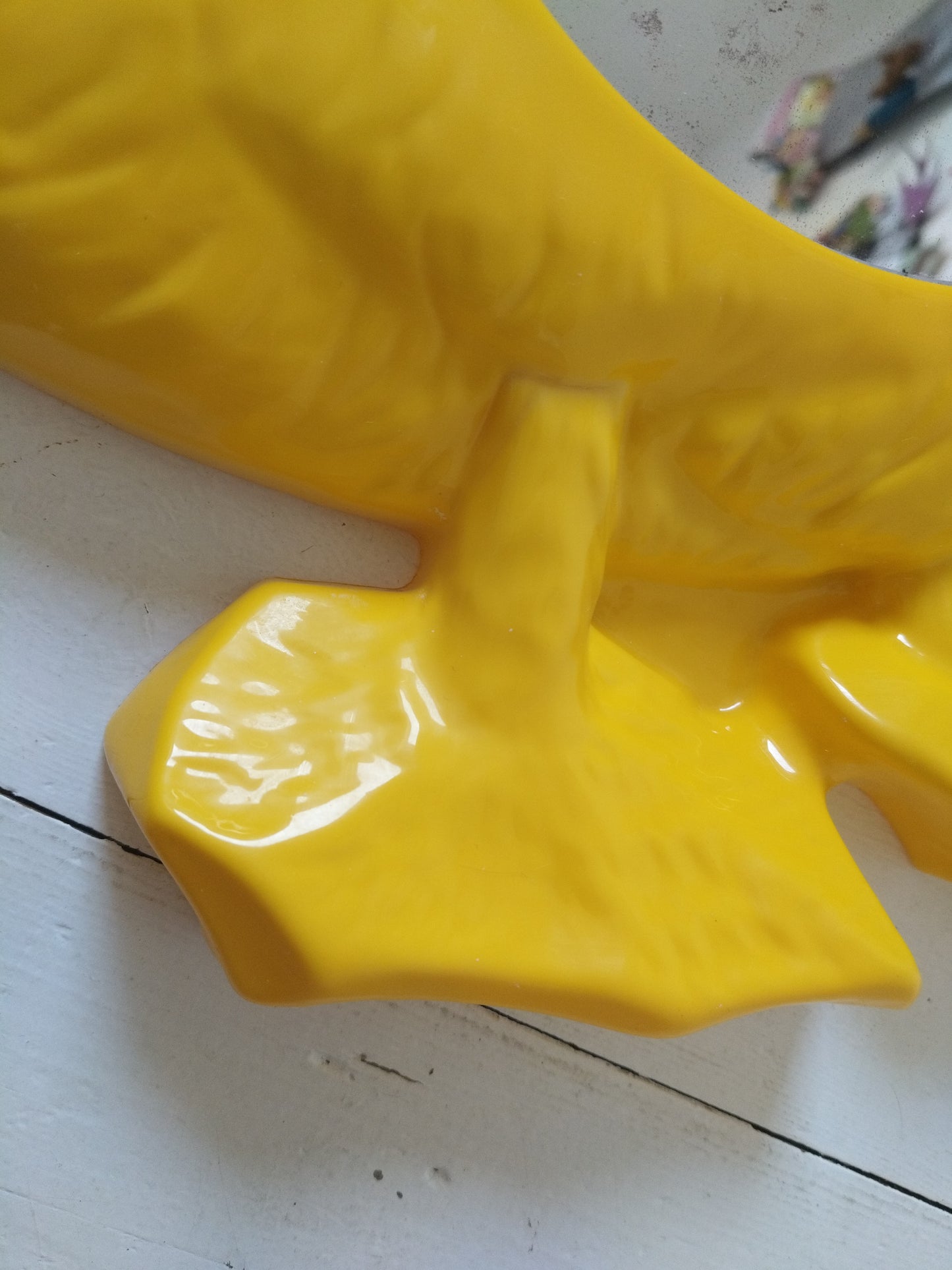 Miroir canard en plastique