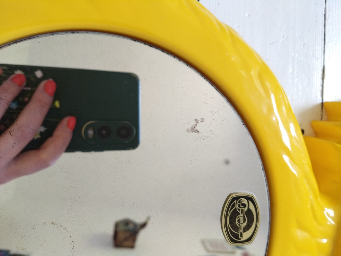 Miroir canard en plastique