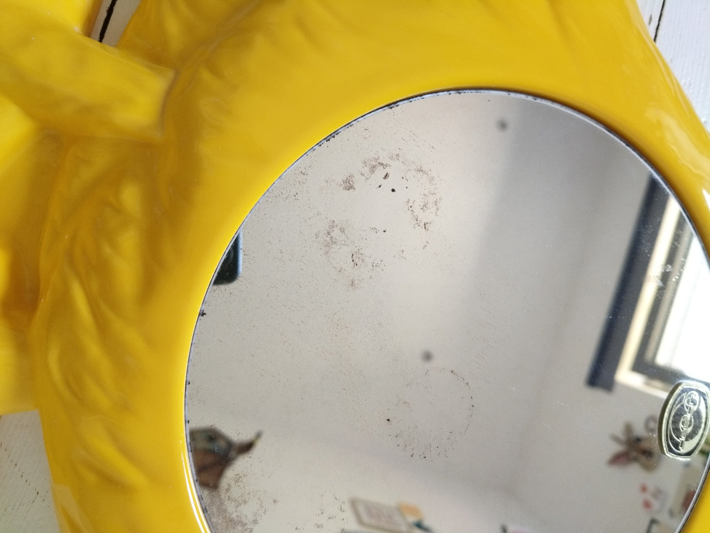 Miroir canard en plastique