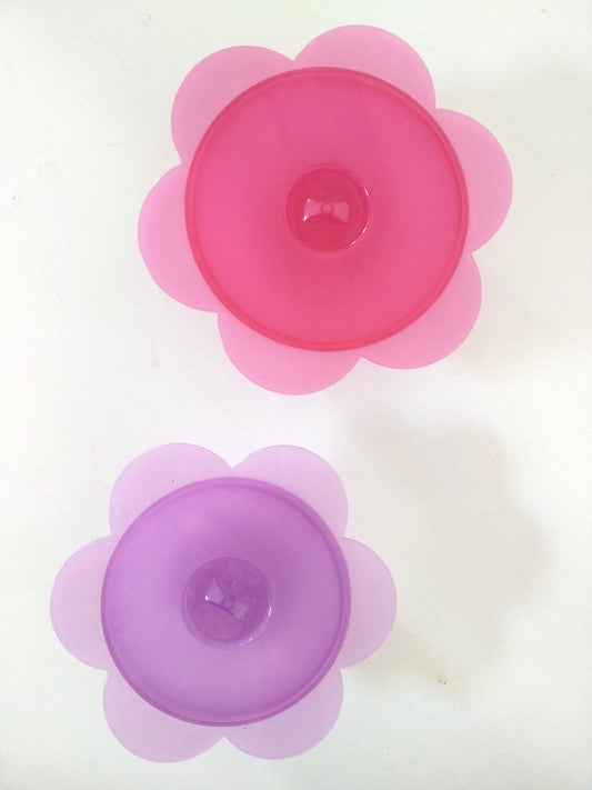 Ensemble de 2 petites boîtes de conservation 🌸 en plastique