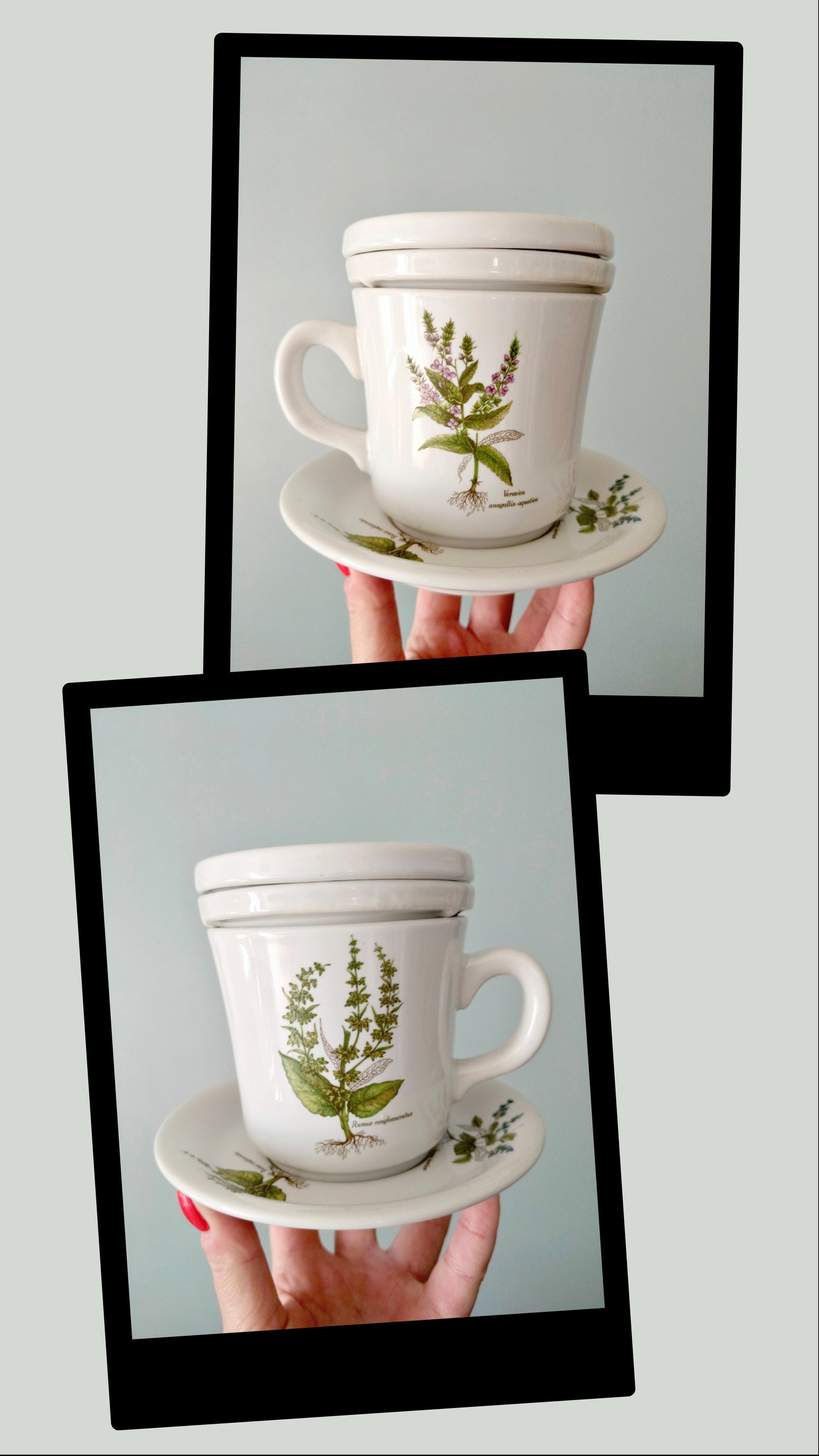 Tisanière porcelaine de France Revol
