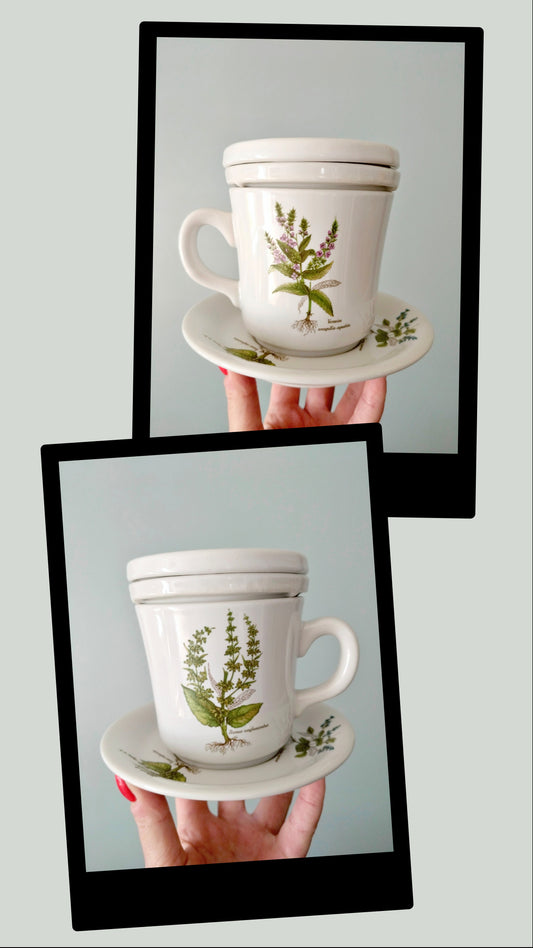 Tisanière porcelaine de France Revol