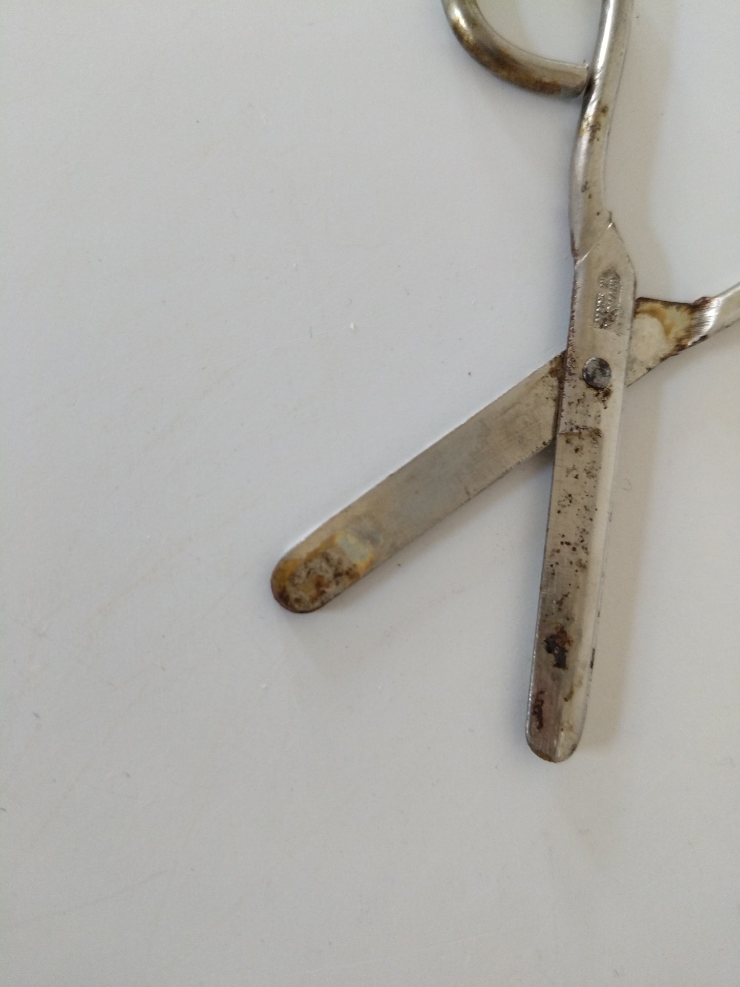 Dévidoir à ficelle éléphant en céramique Lord Nelson Pottery