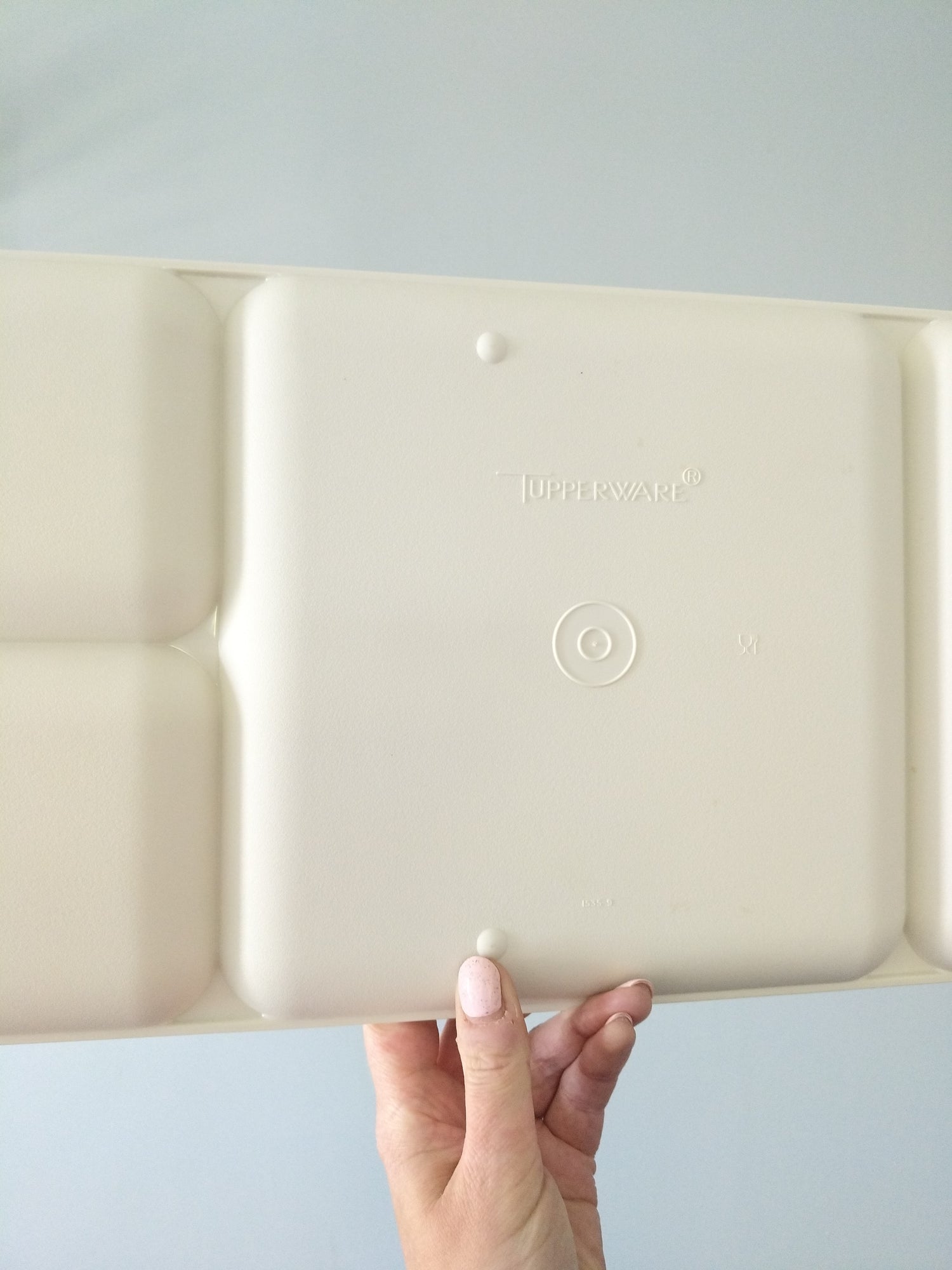 Plateau compartimenté Tupperware - cetaitmieuxavant