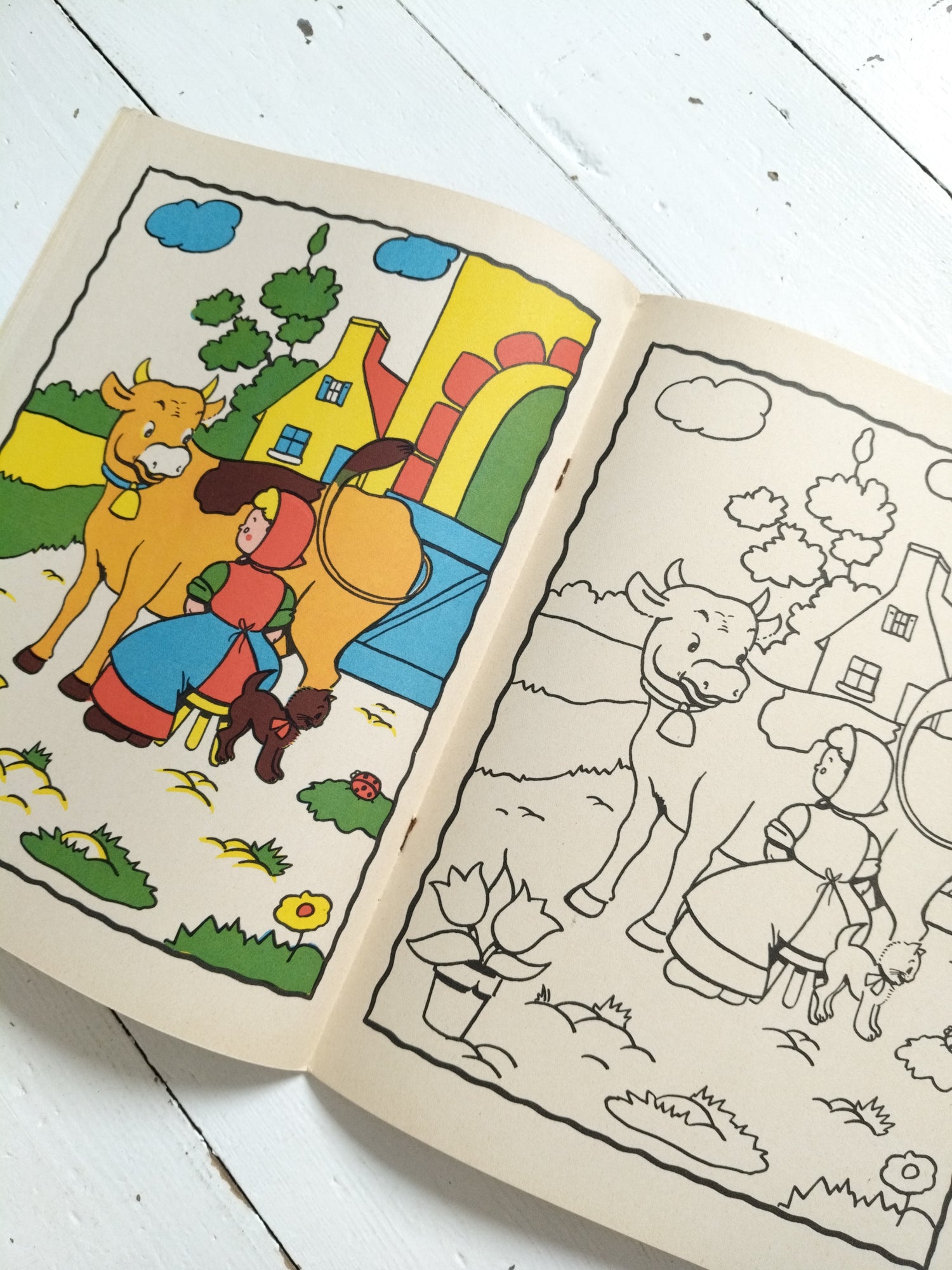 Ancien livre de dessin et coloriage vierge éditions du Pélican Blanc - cetaitmieuxavant
