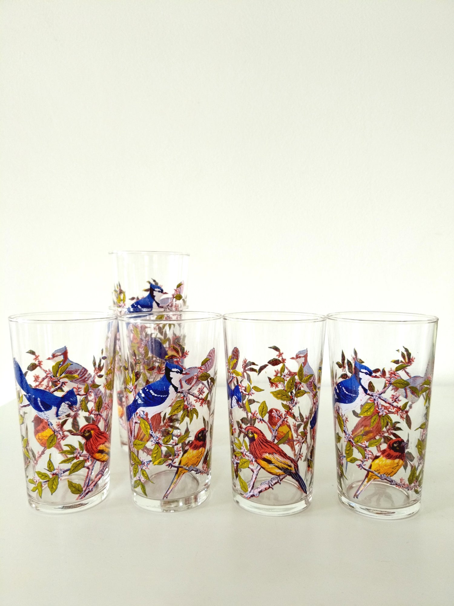 6 grands verres décor oiseaux - cetaitmieuxavant