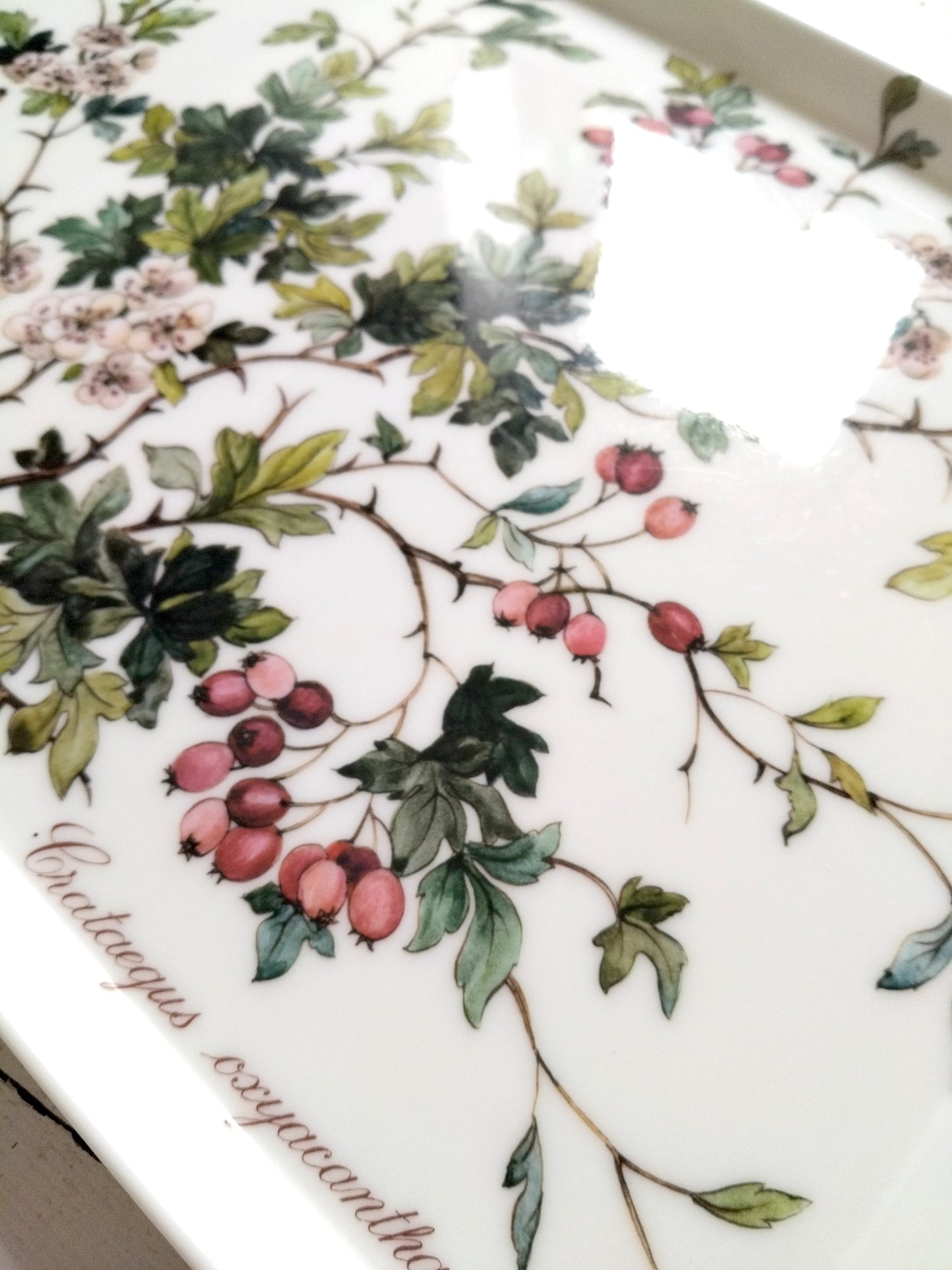 Plateau en plastique Villeroy et Boch Botanica Crateagus oxyacantha - cetaitmieuxavant