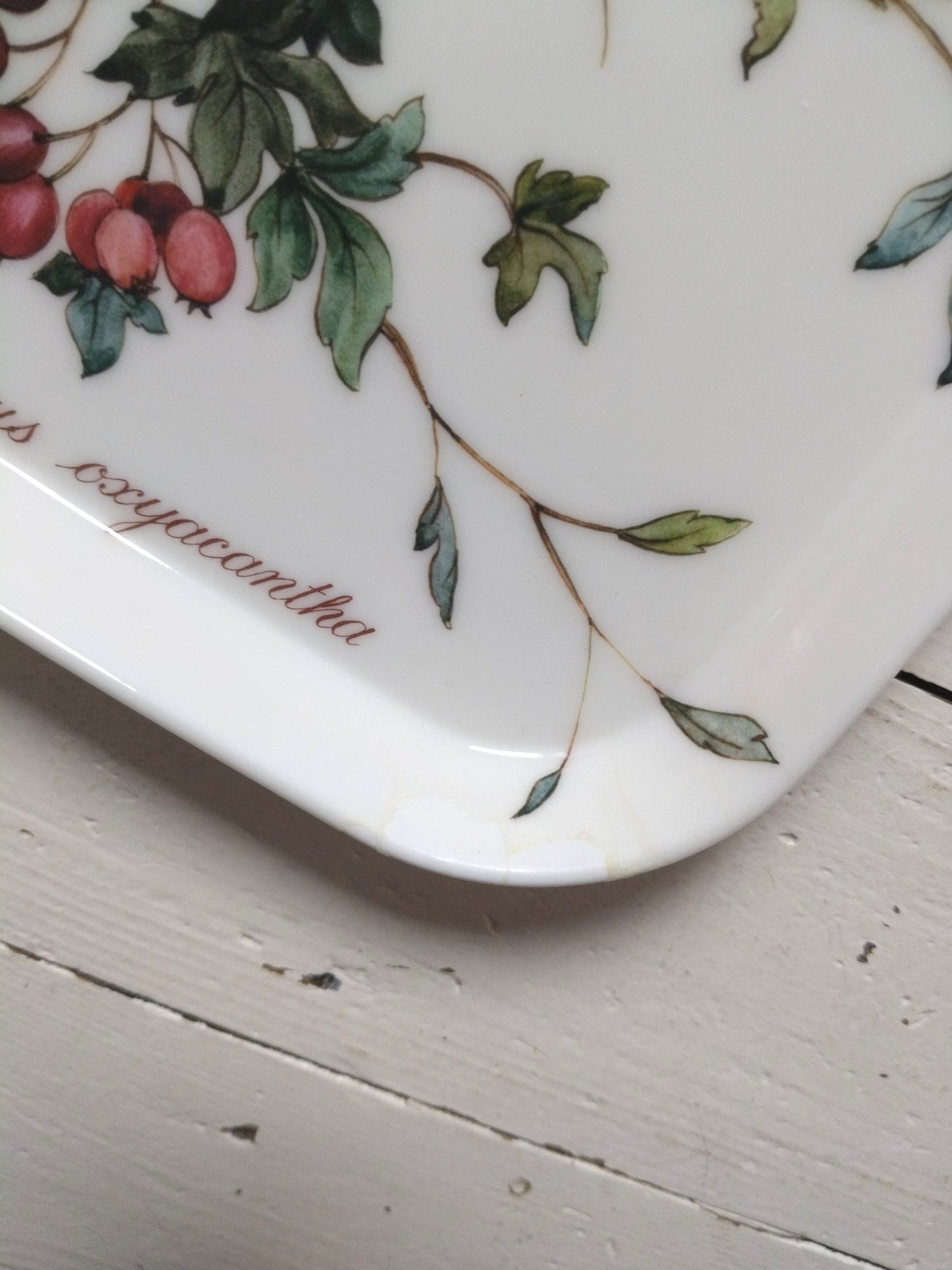 Plateau en plastique Villeroy et Boch Botanica Crateagus oxyacantha - cetaitmieuxavant