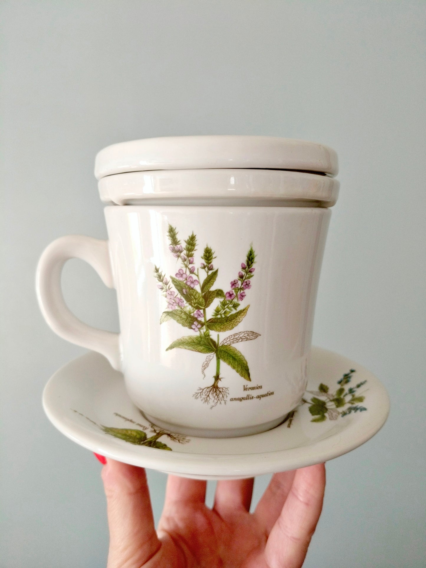 Tisanière porcelaine de France Revol