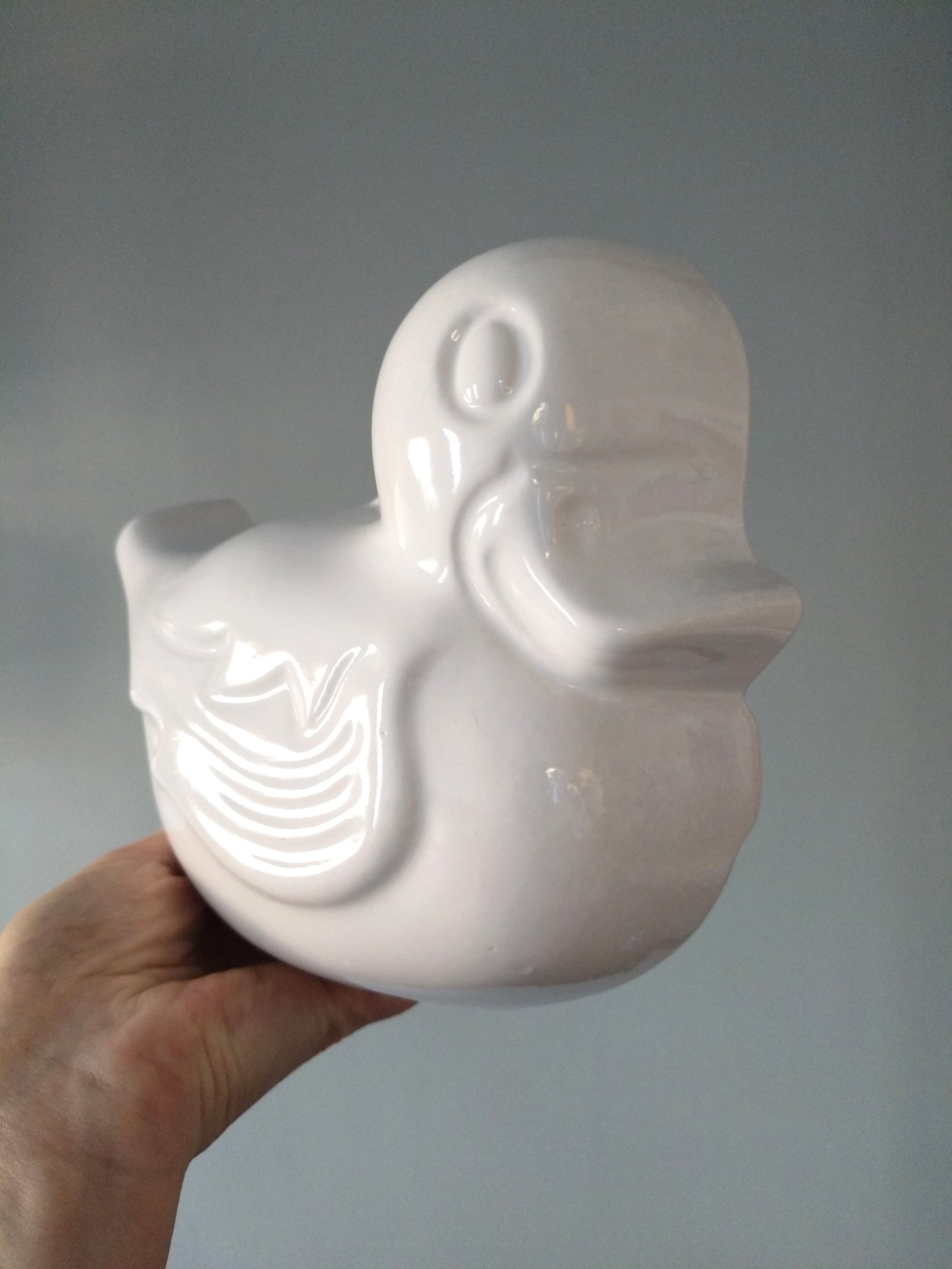 Ancien moule canard à pudding mural en porcelaine - cetaitmieuxavant