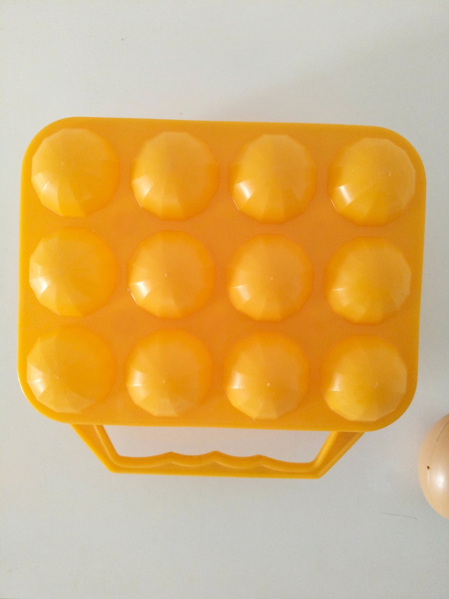 Boîte à 12 œufs en plastique
