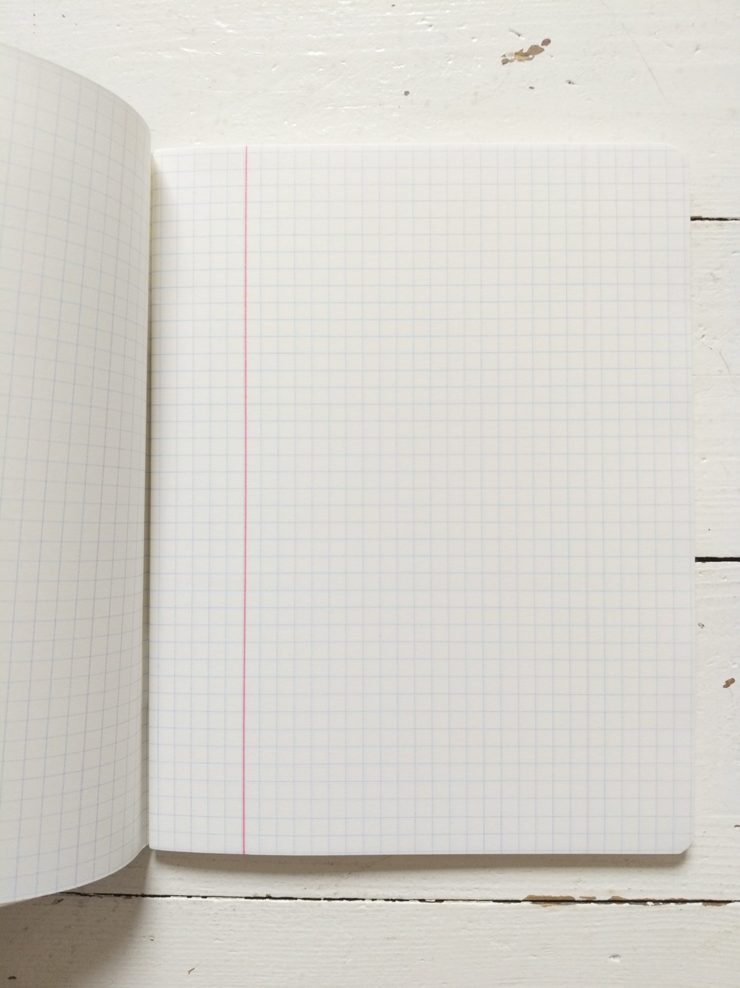 Cahier A5 quadrillé au choix