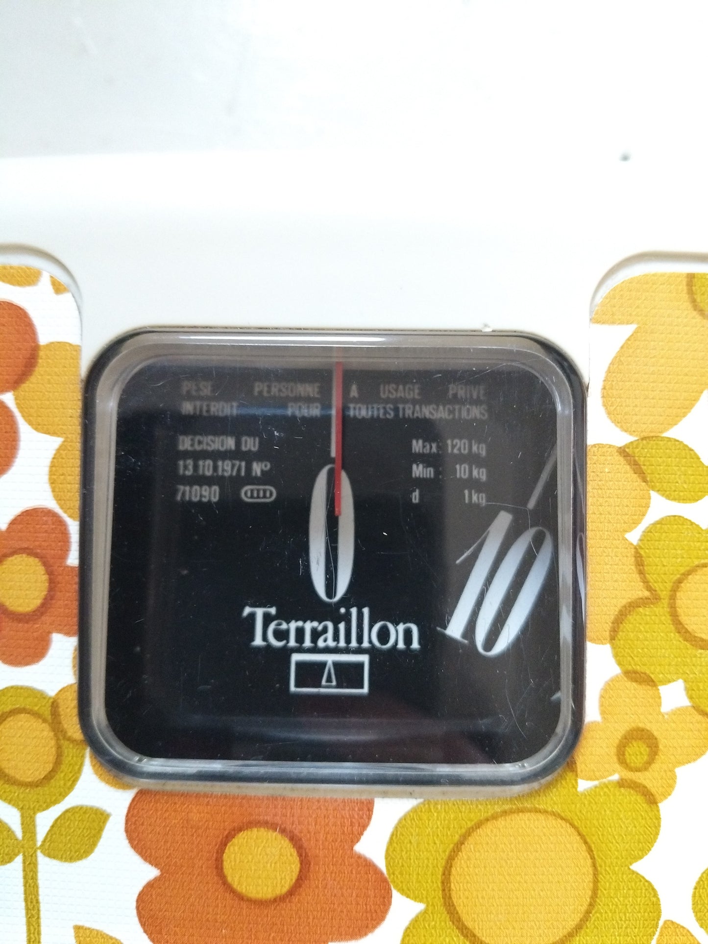 Balance/ pèse-personne Terraillon 120kg - cetaitmieuxavant