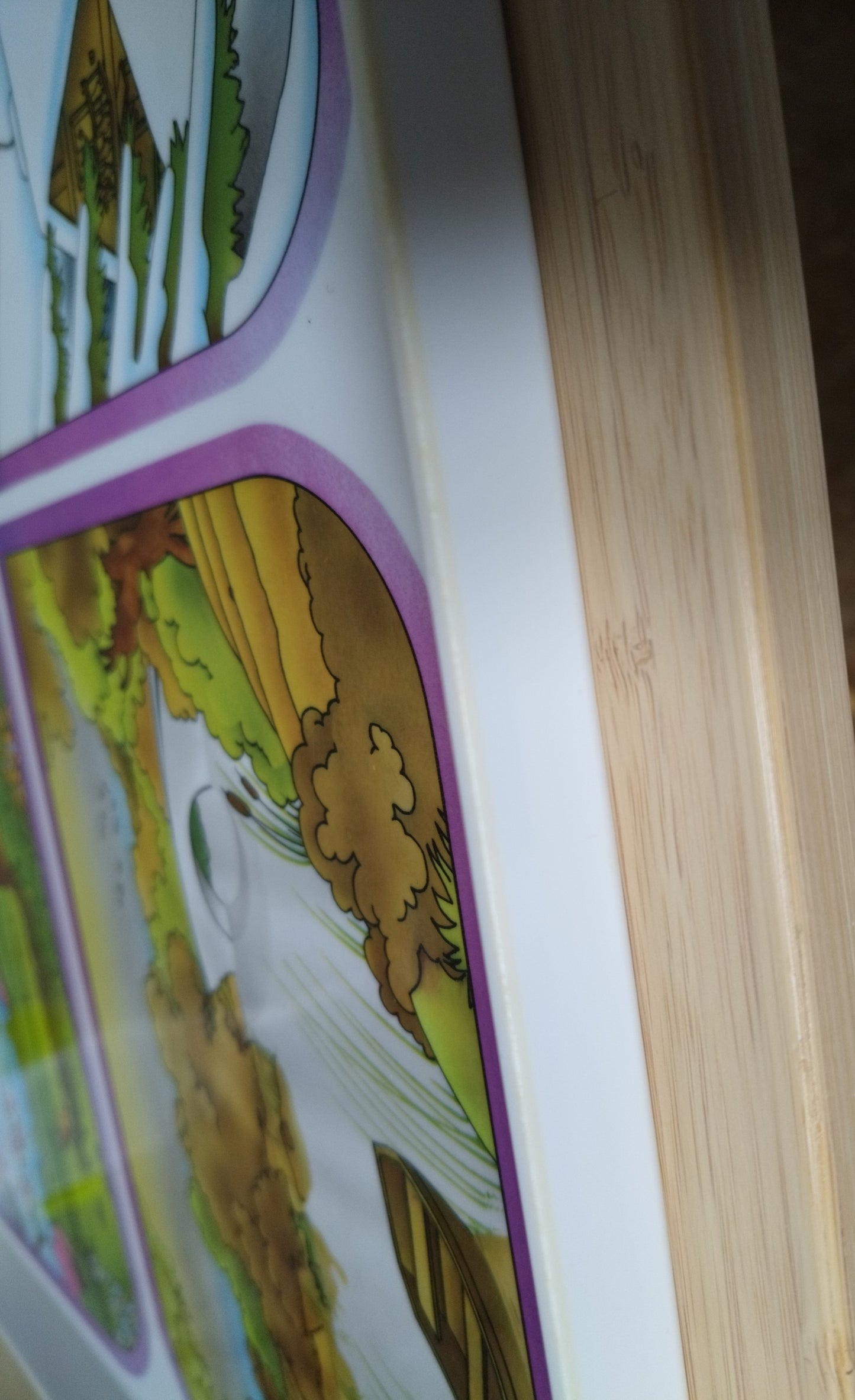 Plateau "les quatre saisons" en plastique par Tupperware 80's