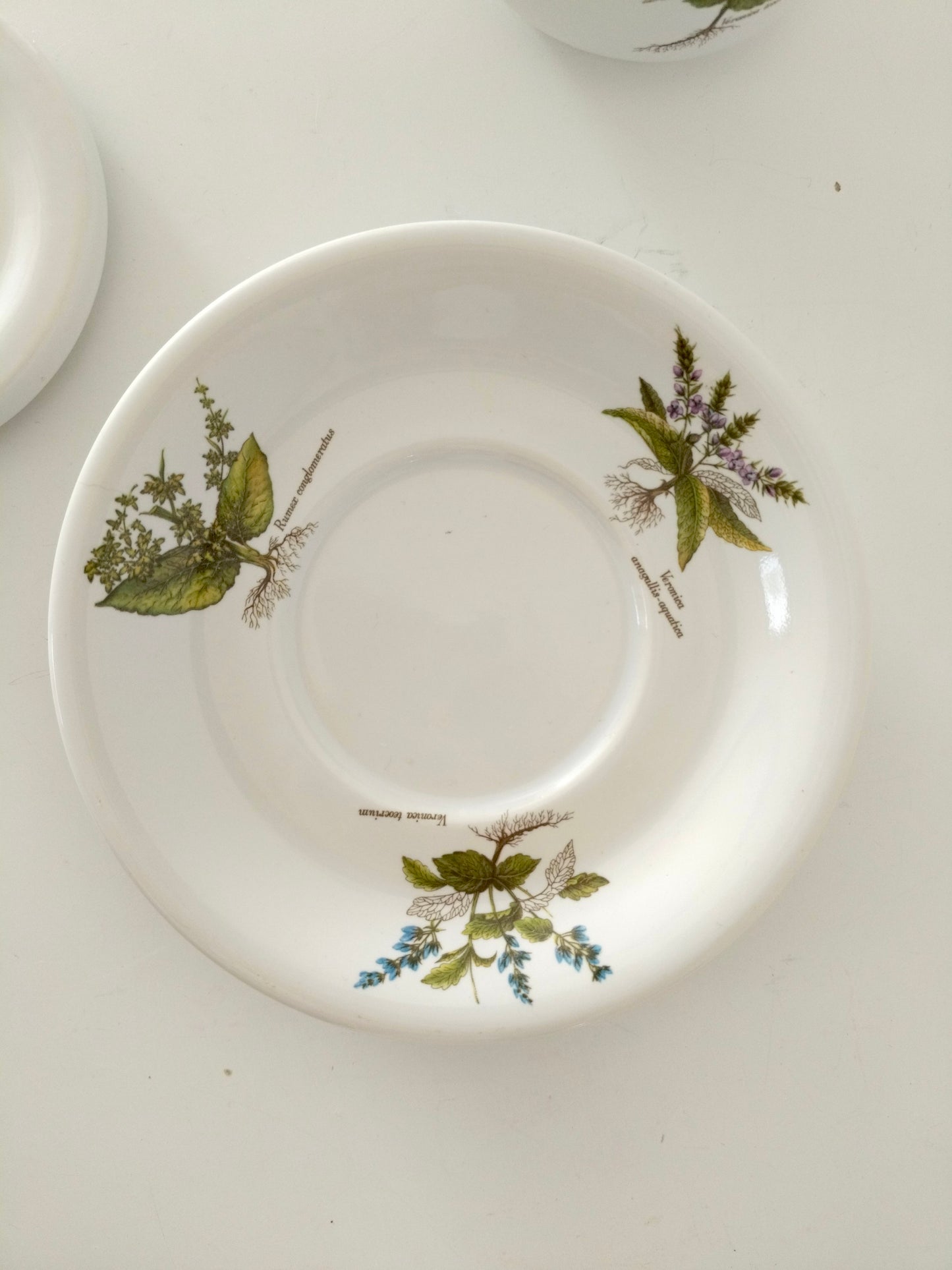 Tisanière porcelaine de France Revol