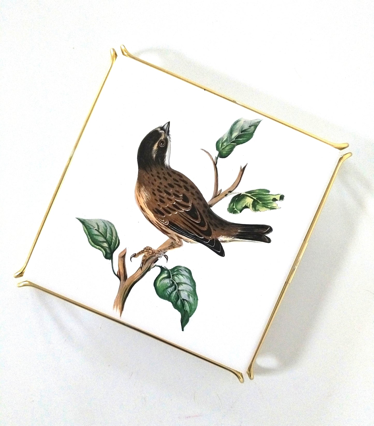 Dessous de plat Villeroy et Boch Bird