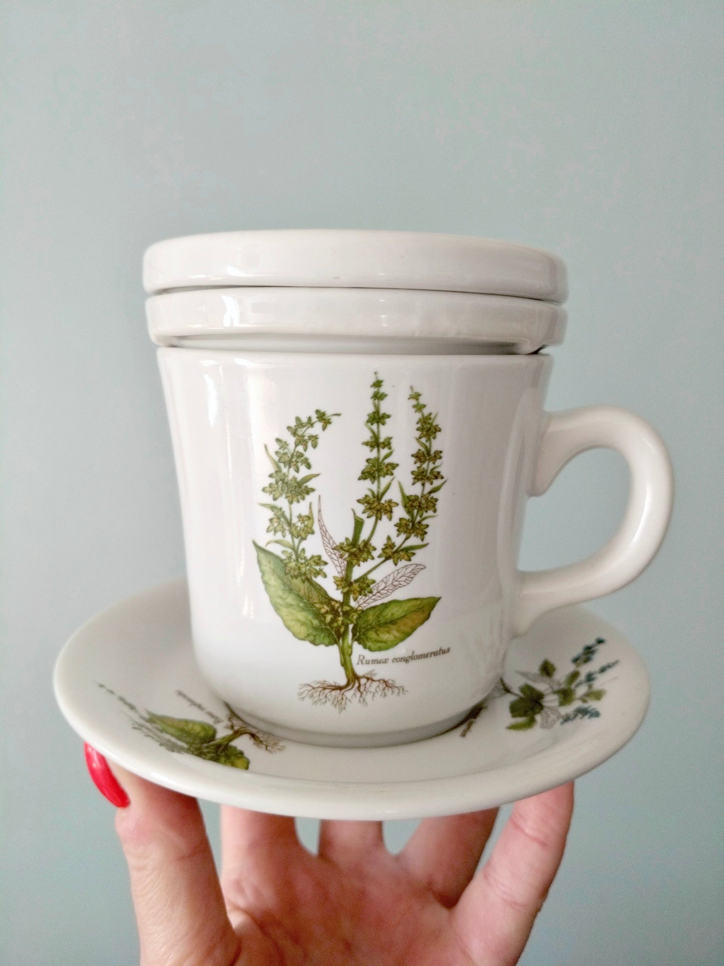 Tisanière porcelaine de France Revol