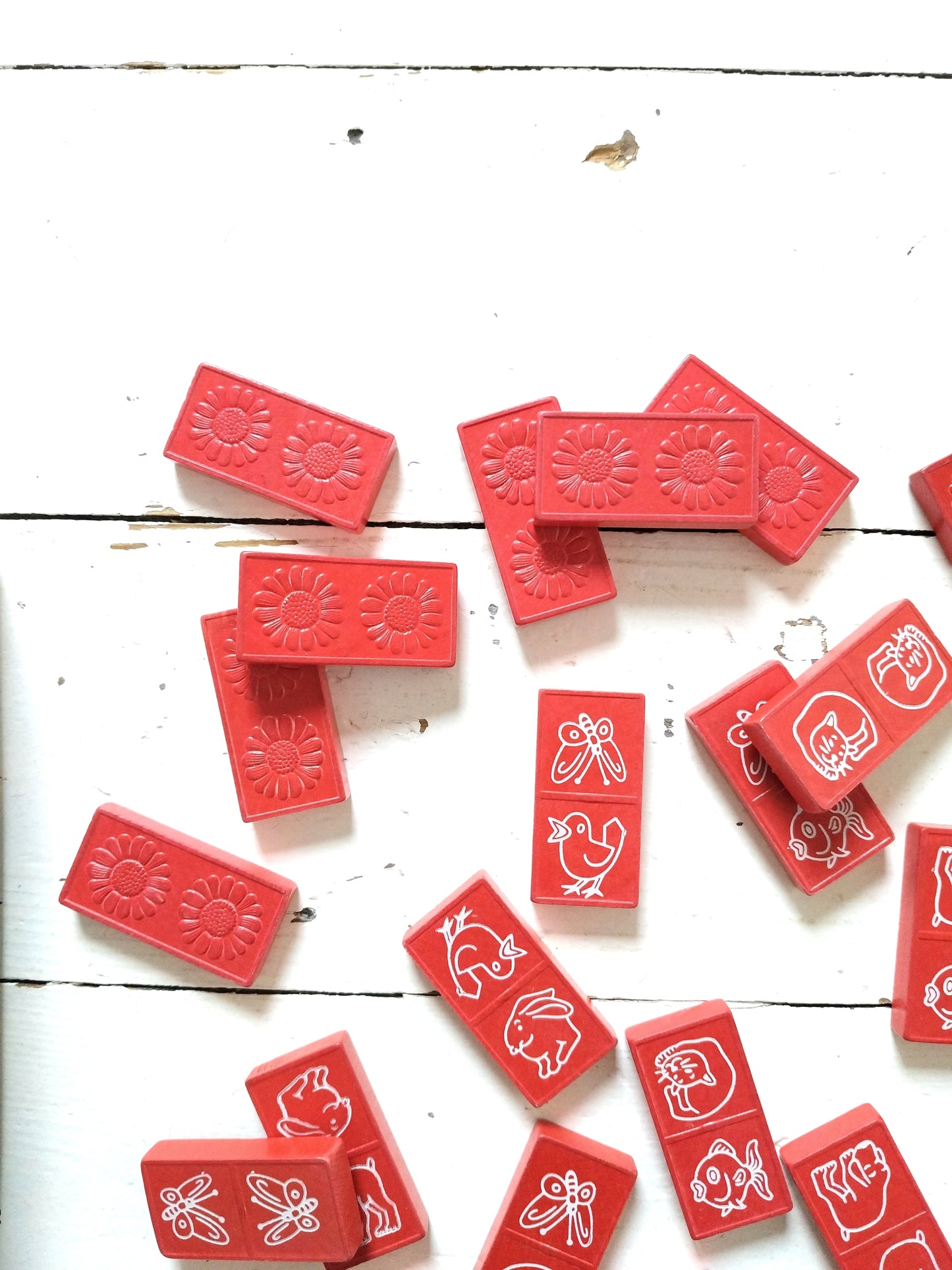 Domino des animaux par Edmond Dujardin