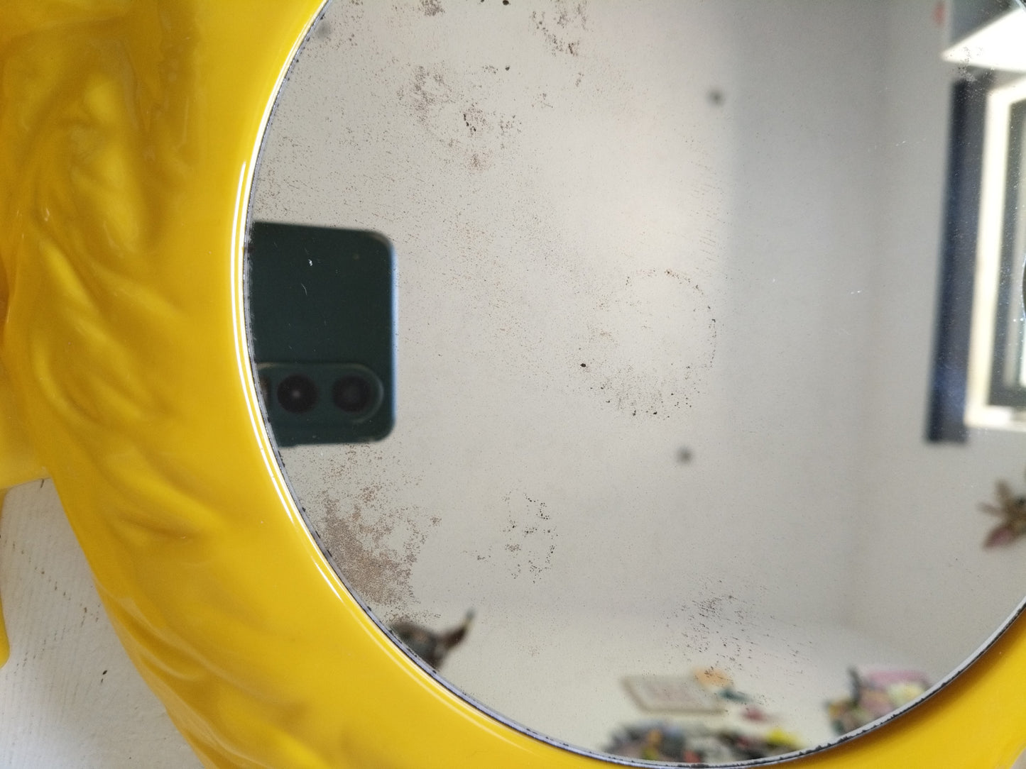 Miroir canard en plastique