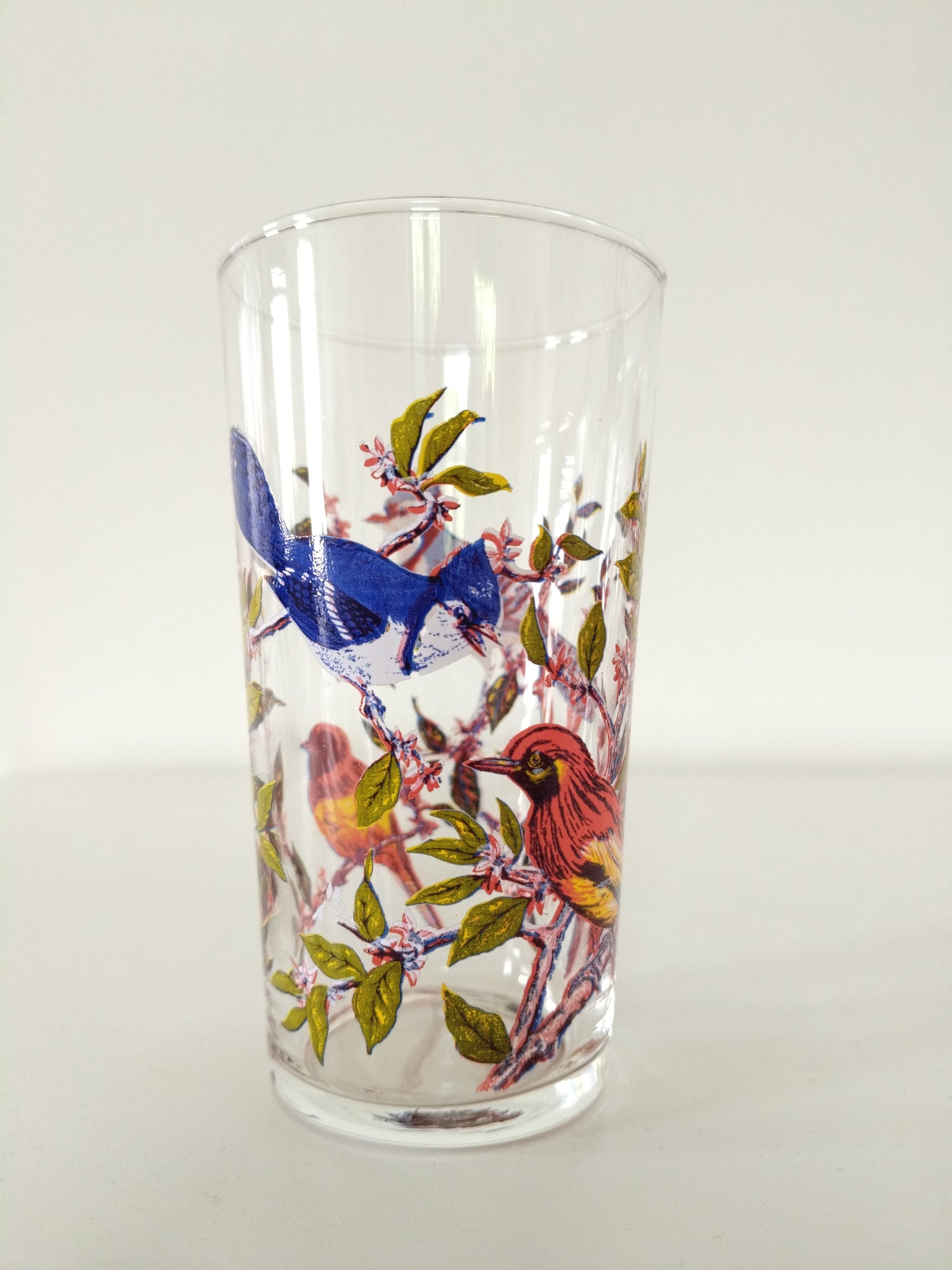 6 grands verres décor oiseaux - cetaitmieuxavant